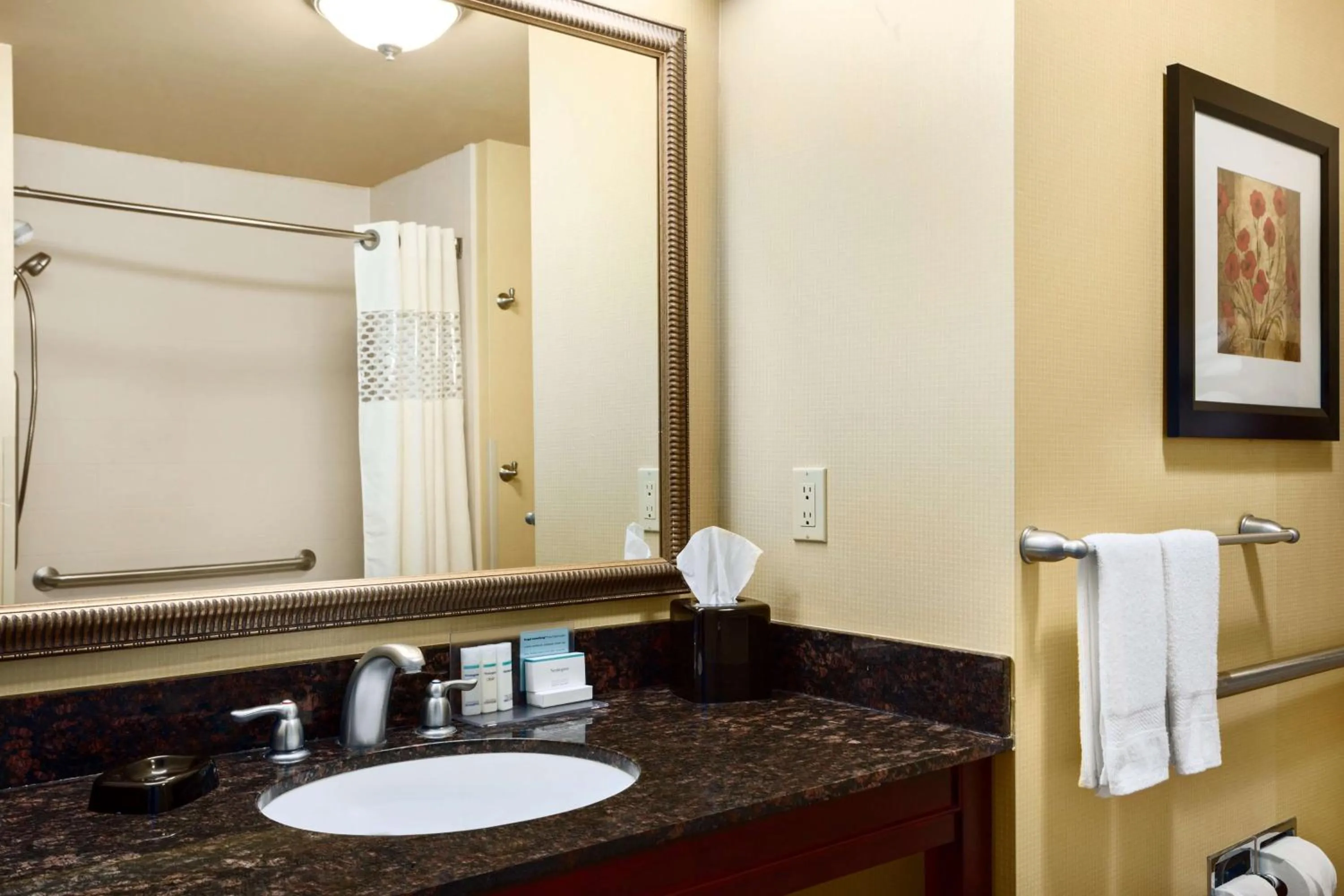 Bathroom in Hampton Inn & Suites Mission