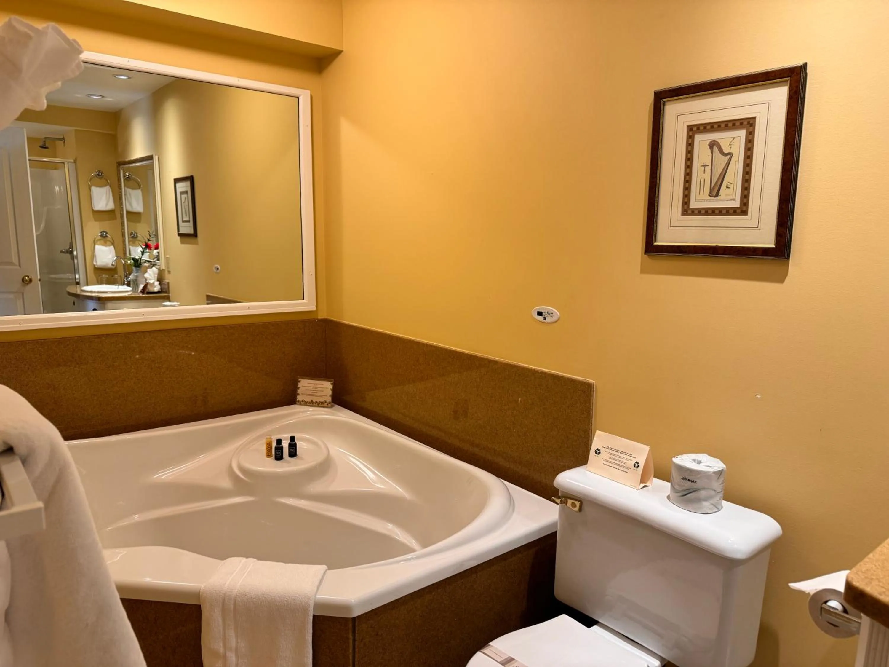 Hot Tub in Prior Castle Inn