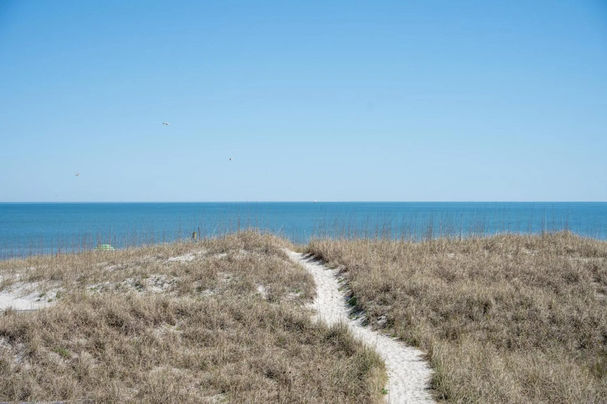 Elizabeth Pointe Lodge