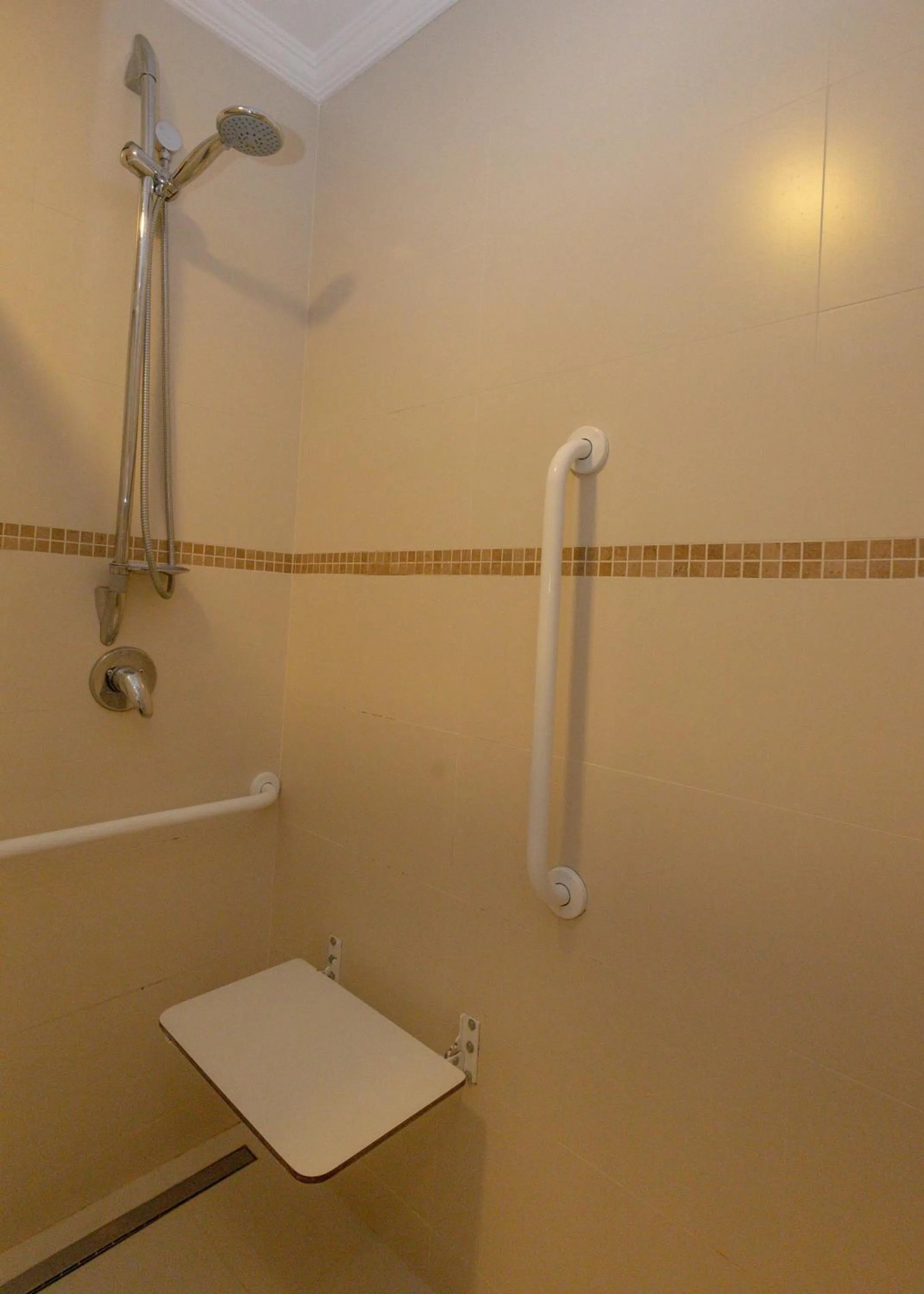 Shower in Lizon Curitiba Hotel