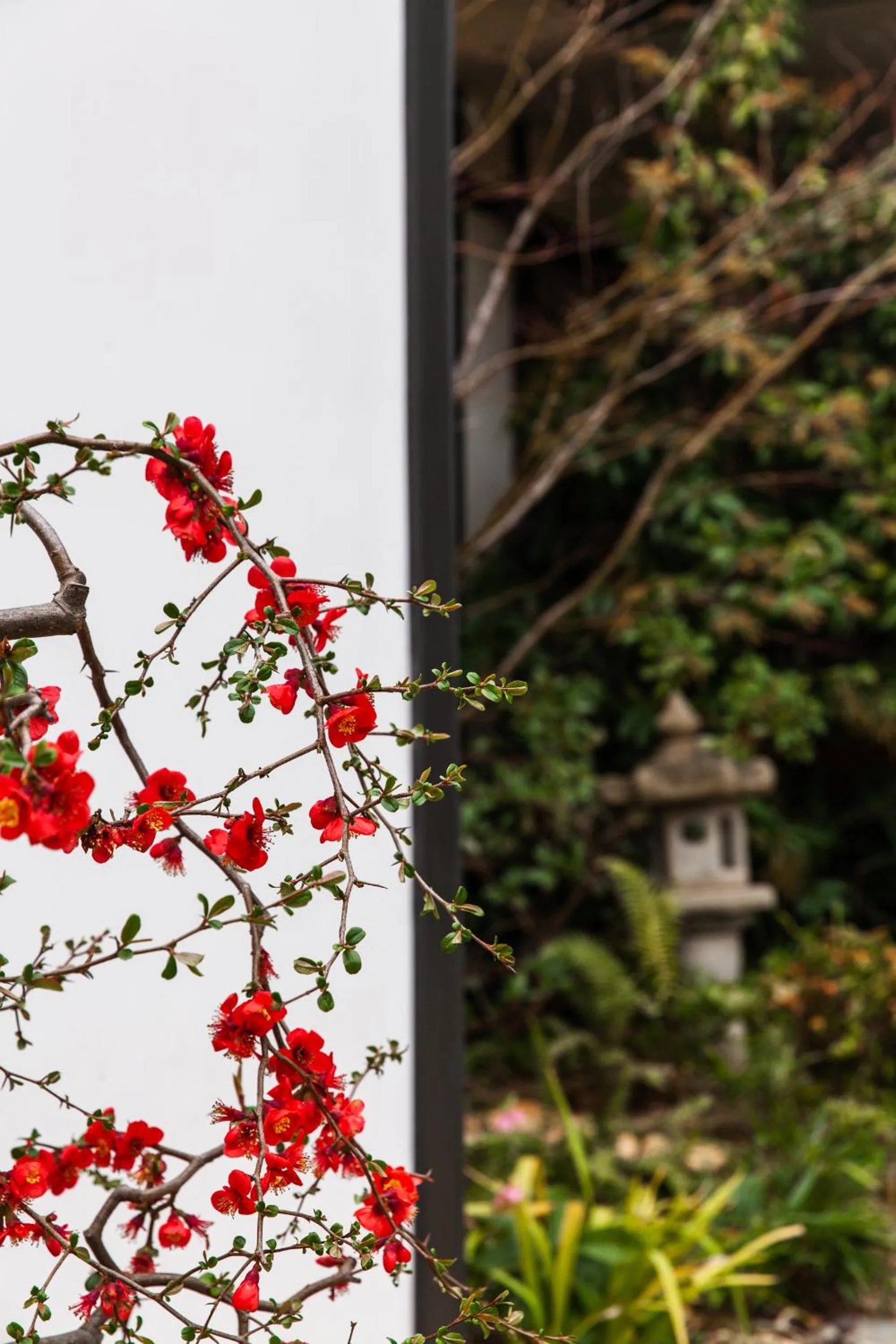 Garden in Shizuka Ryokan Japanese Country Spa & Wellness Retreat