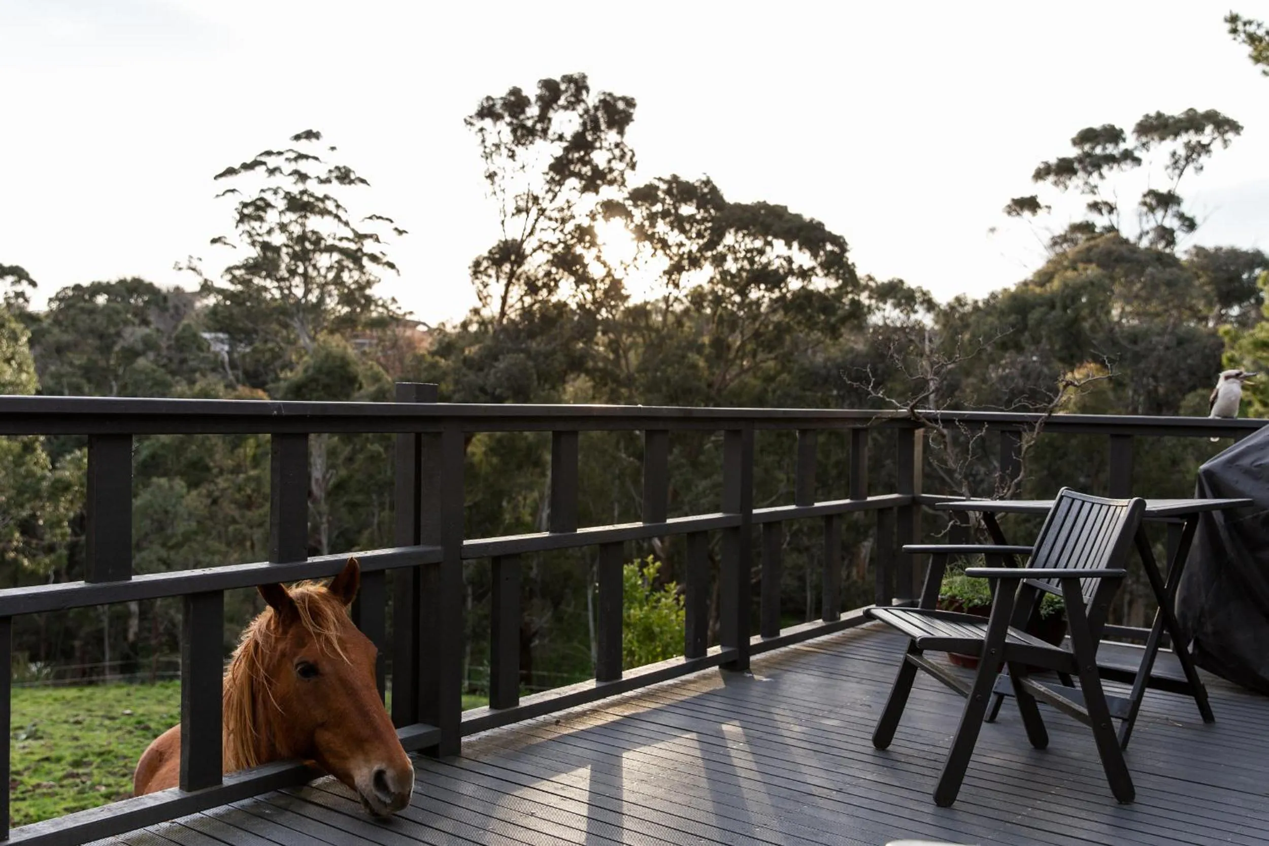 Balcony/Terrace in Shizuka Ryokan Japanese Country Spa & Wellness Retreat