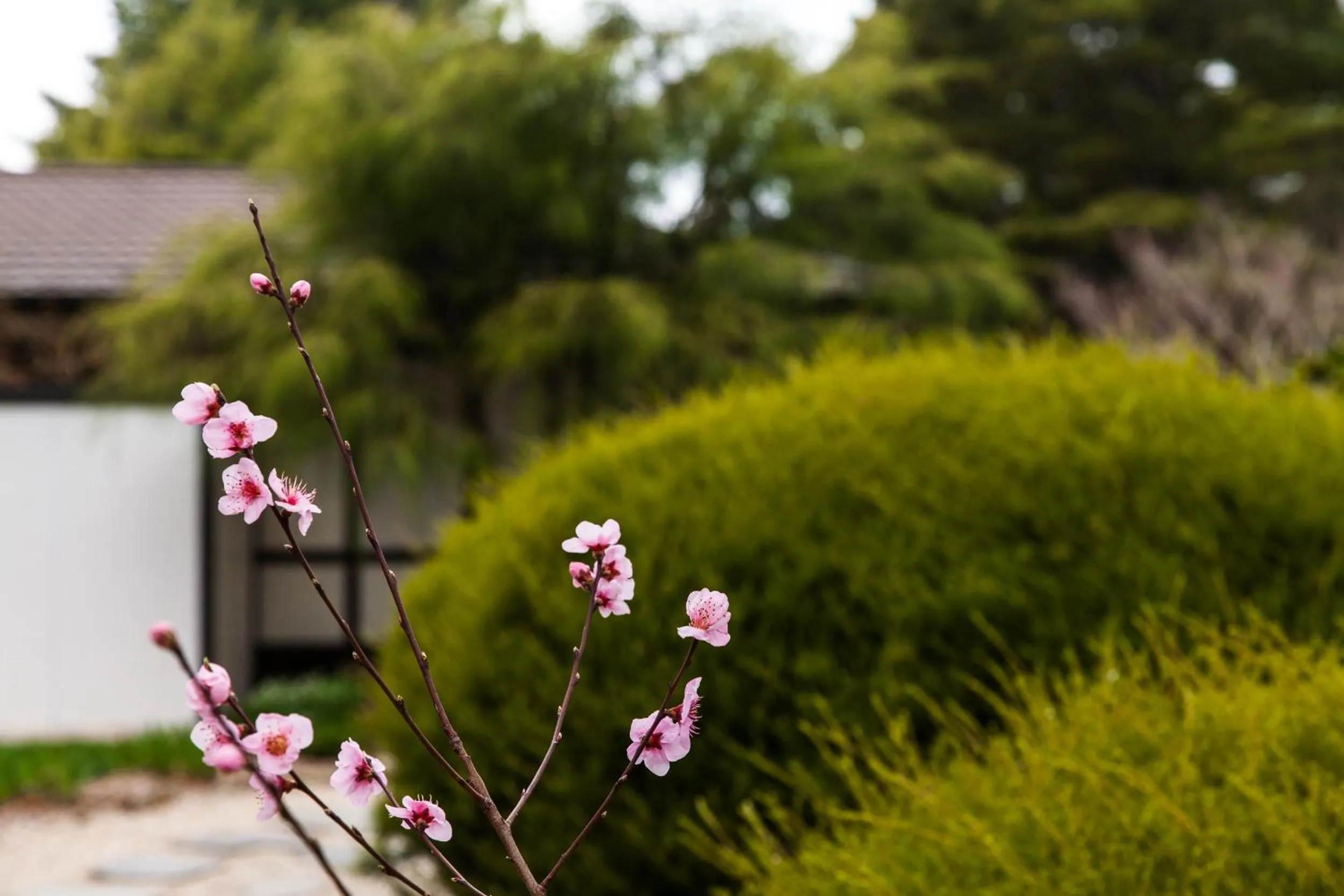 Garden in Shizuka Ryokan Japanese Country Spa & Wellness Retreat