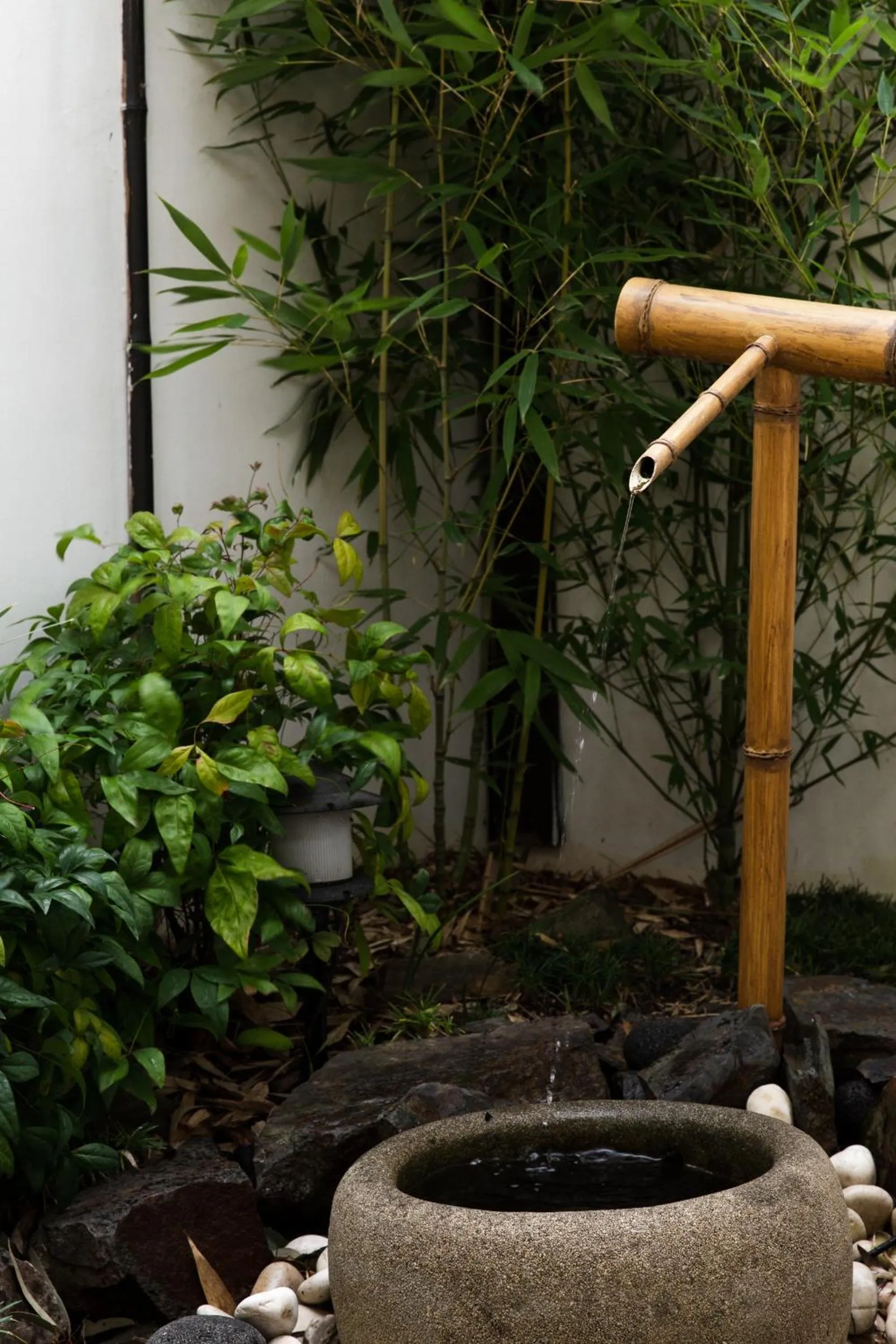 Garden view in Shizuka Ryokan Japanese Country Spa & Wellness Retreat