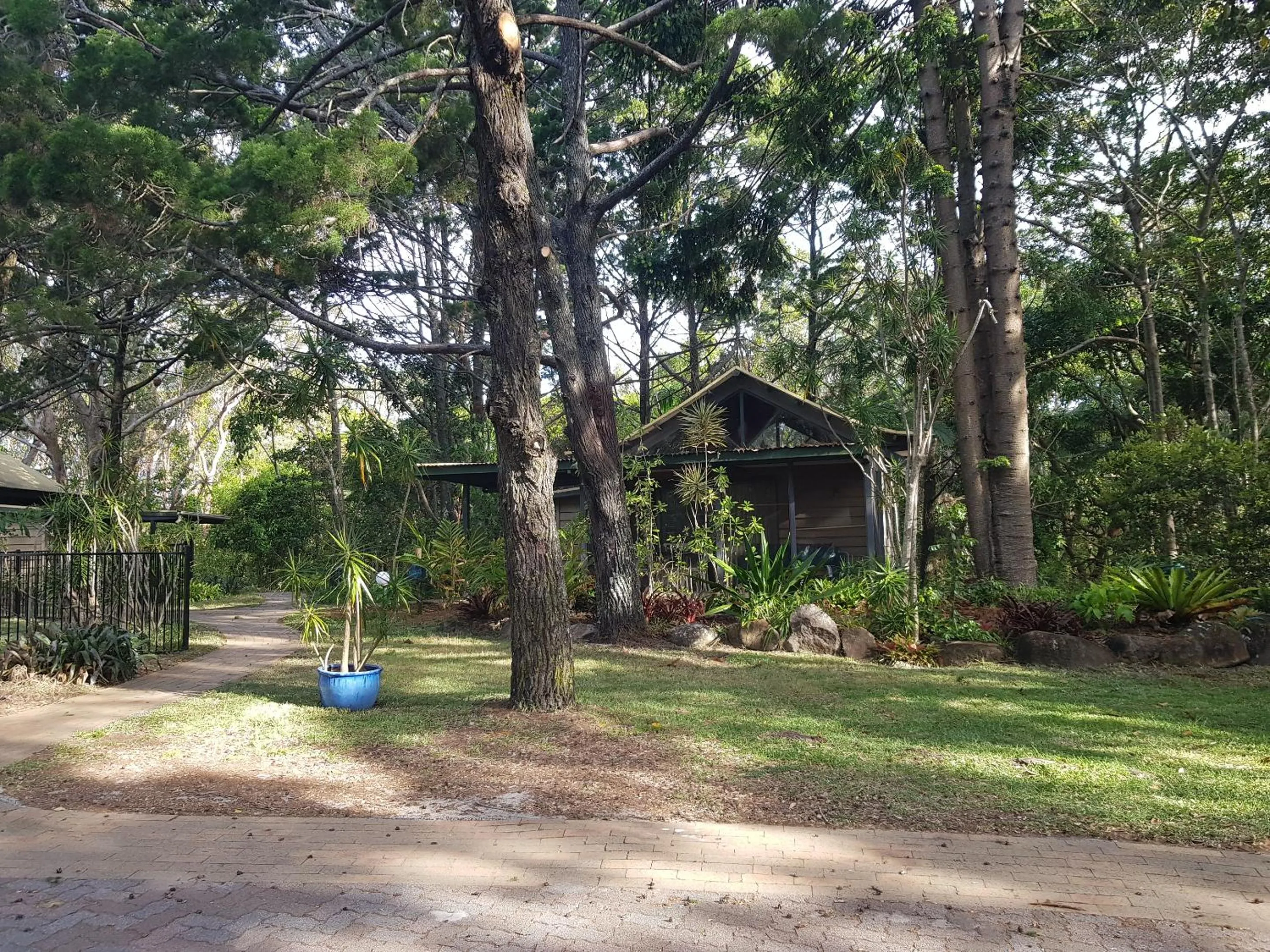 Garden view in Byron Bay Rainforest Resort