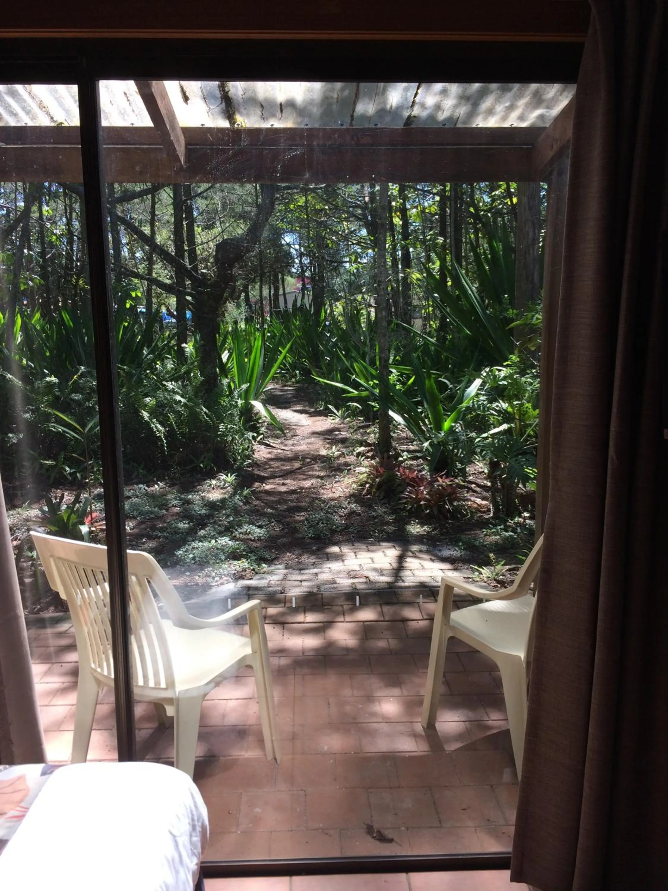 Garden view in Byron Bay Rainforest Resort
