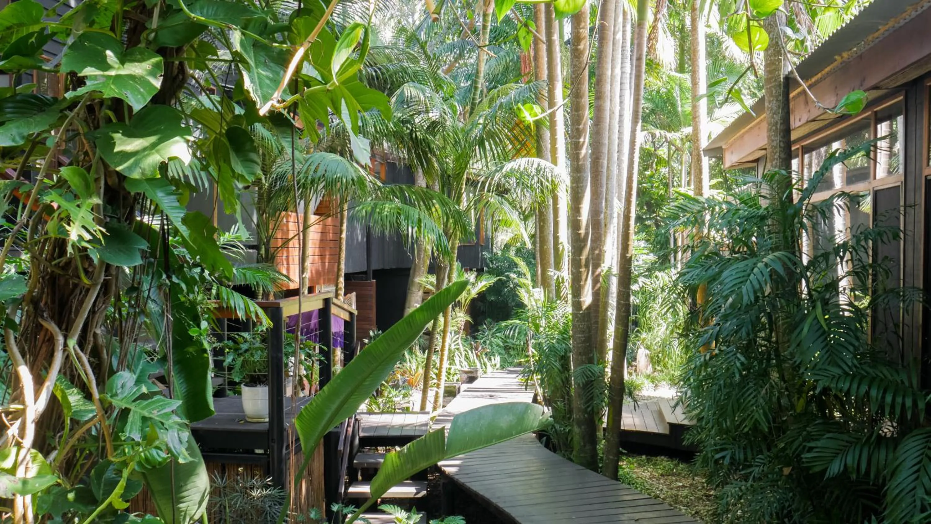 Day in Shambhala @ Byron