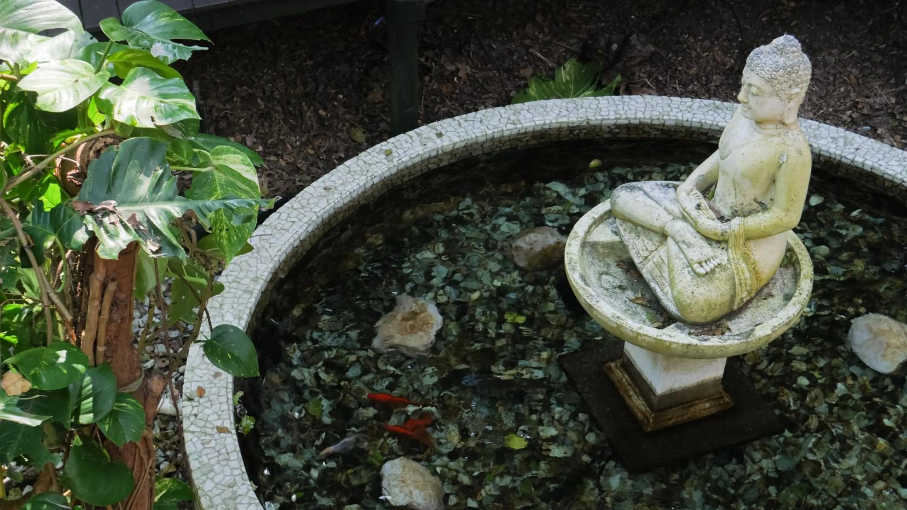 Day in Shambhala @ Byron