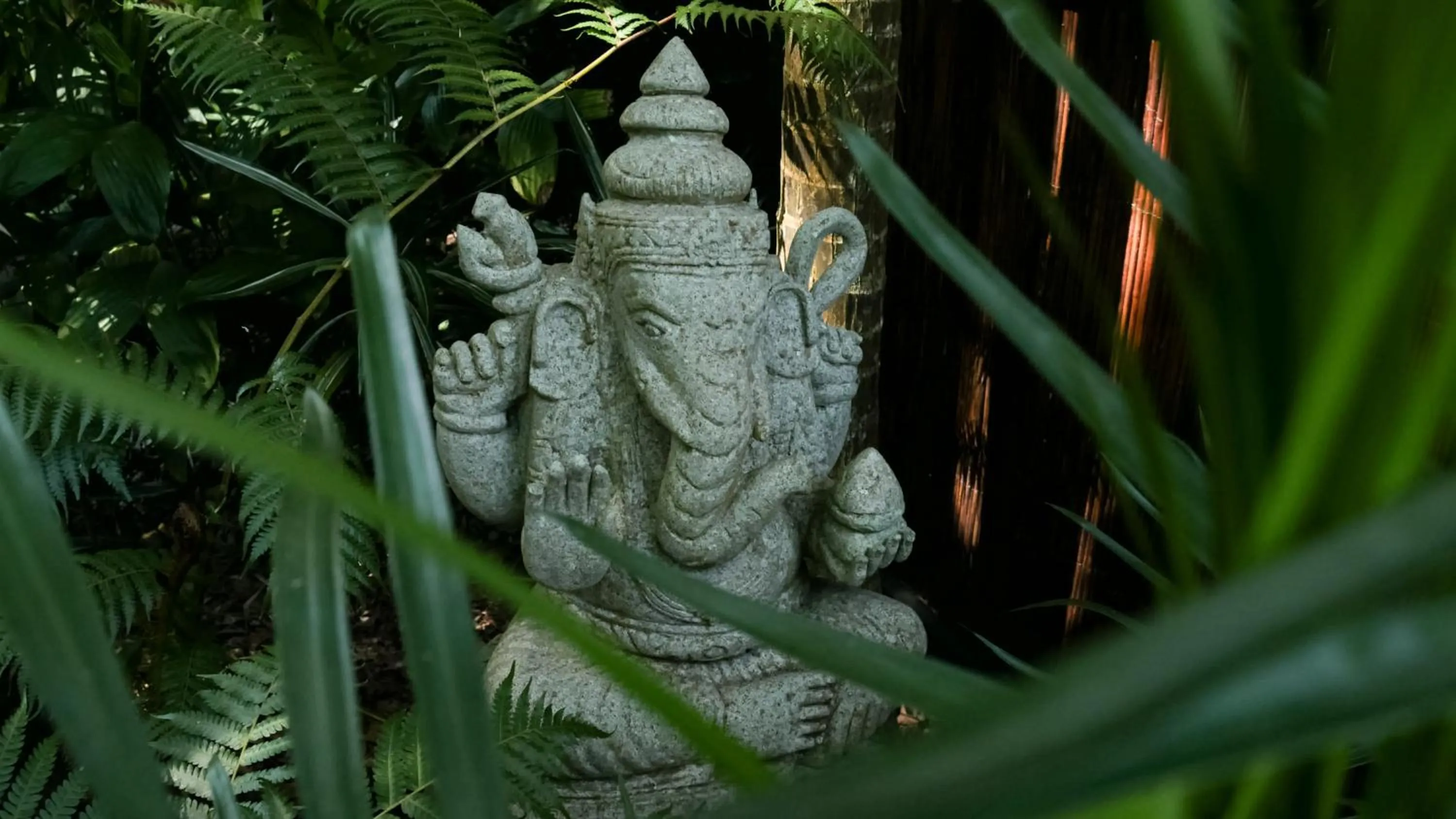 Day in Shambhala @ Byron