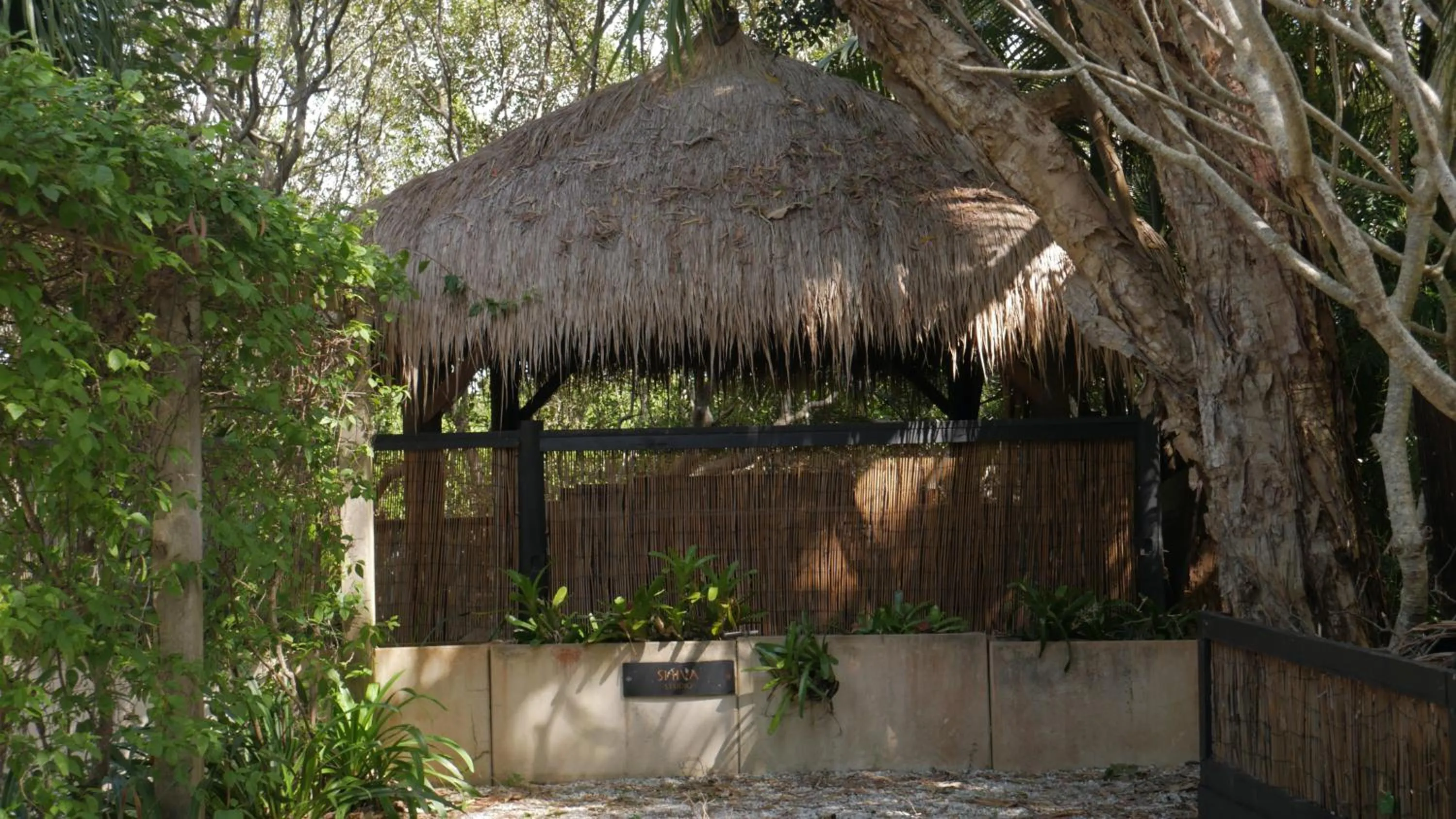 Parking in Shambhala @ Byron