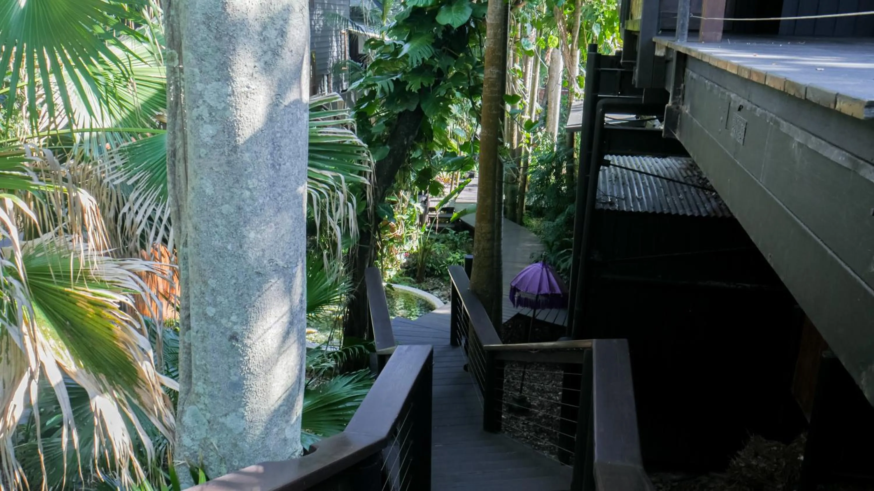 Day in Shambhala @ Byron