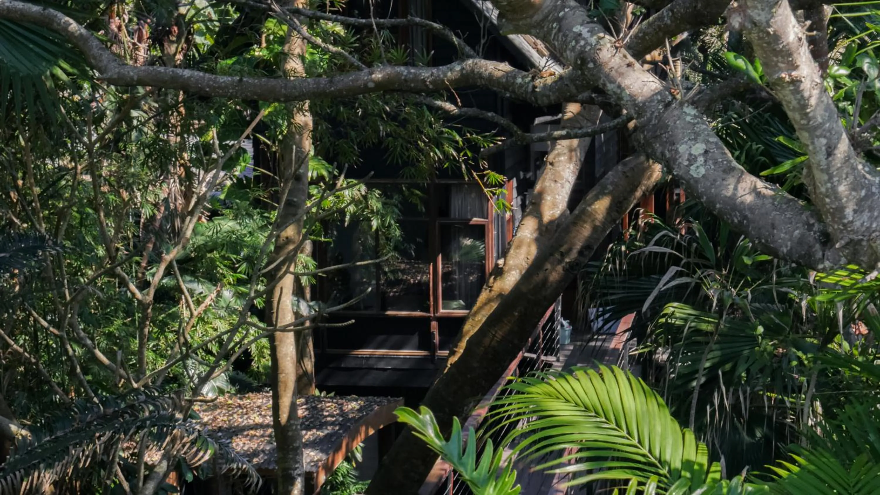 Garden in Shambhala @ Byron