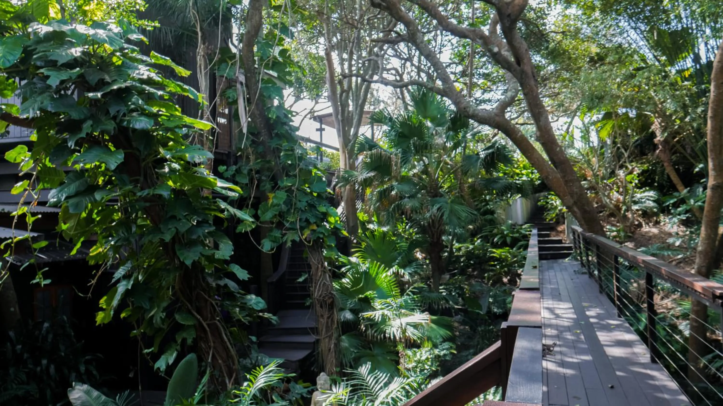 Garden view in Shambhala @ Byron