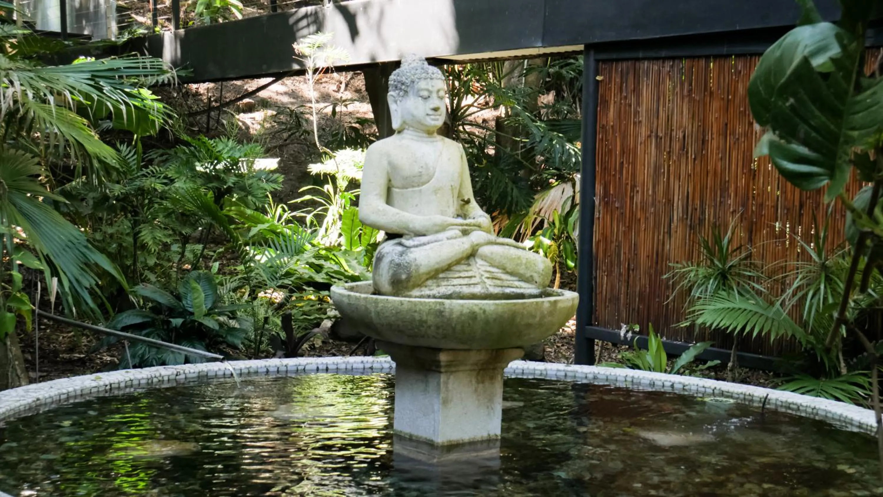 Day in Shambhala @ Byron