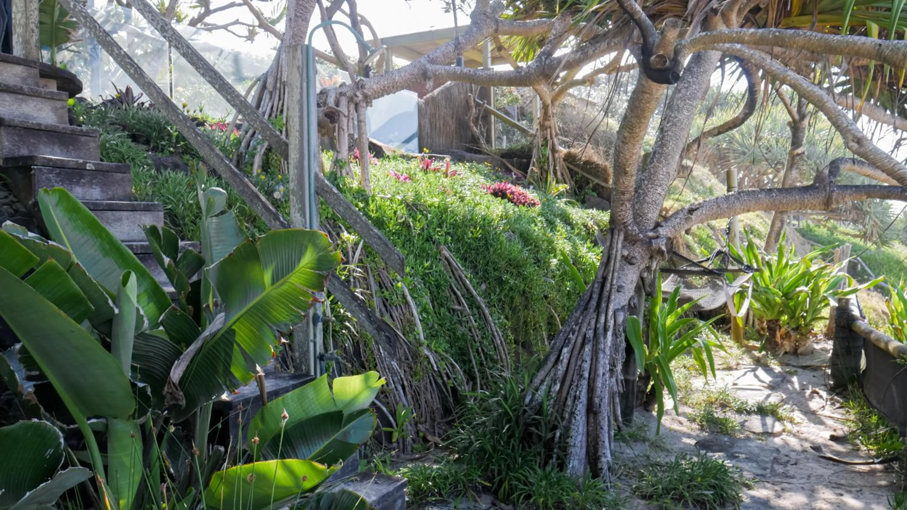 Day in Shambhala @ Byron