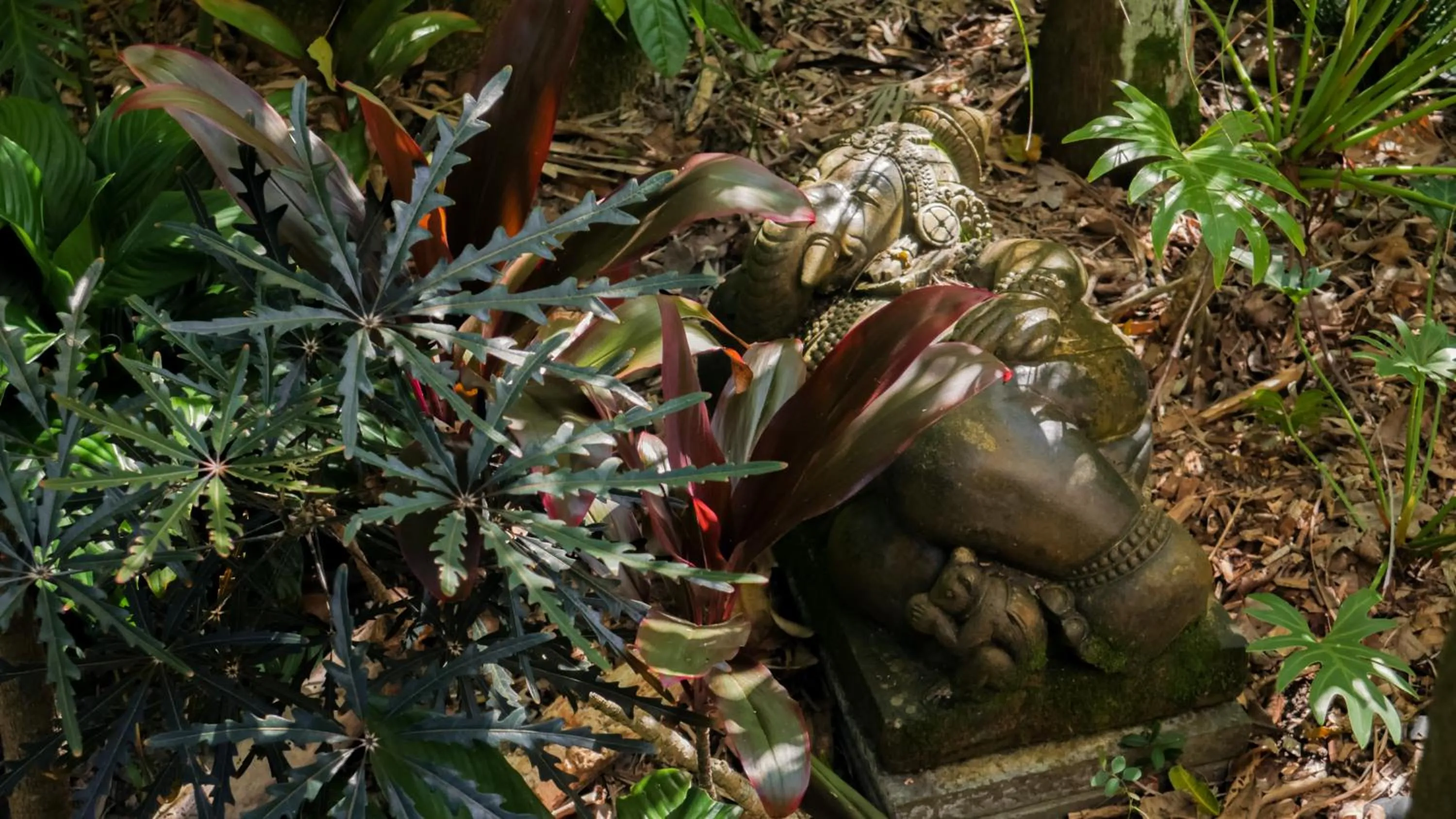 Day in Shambhala @ Byron