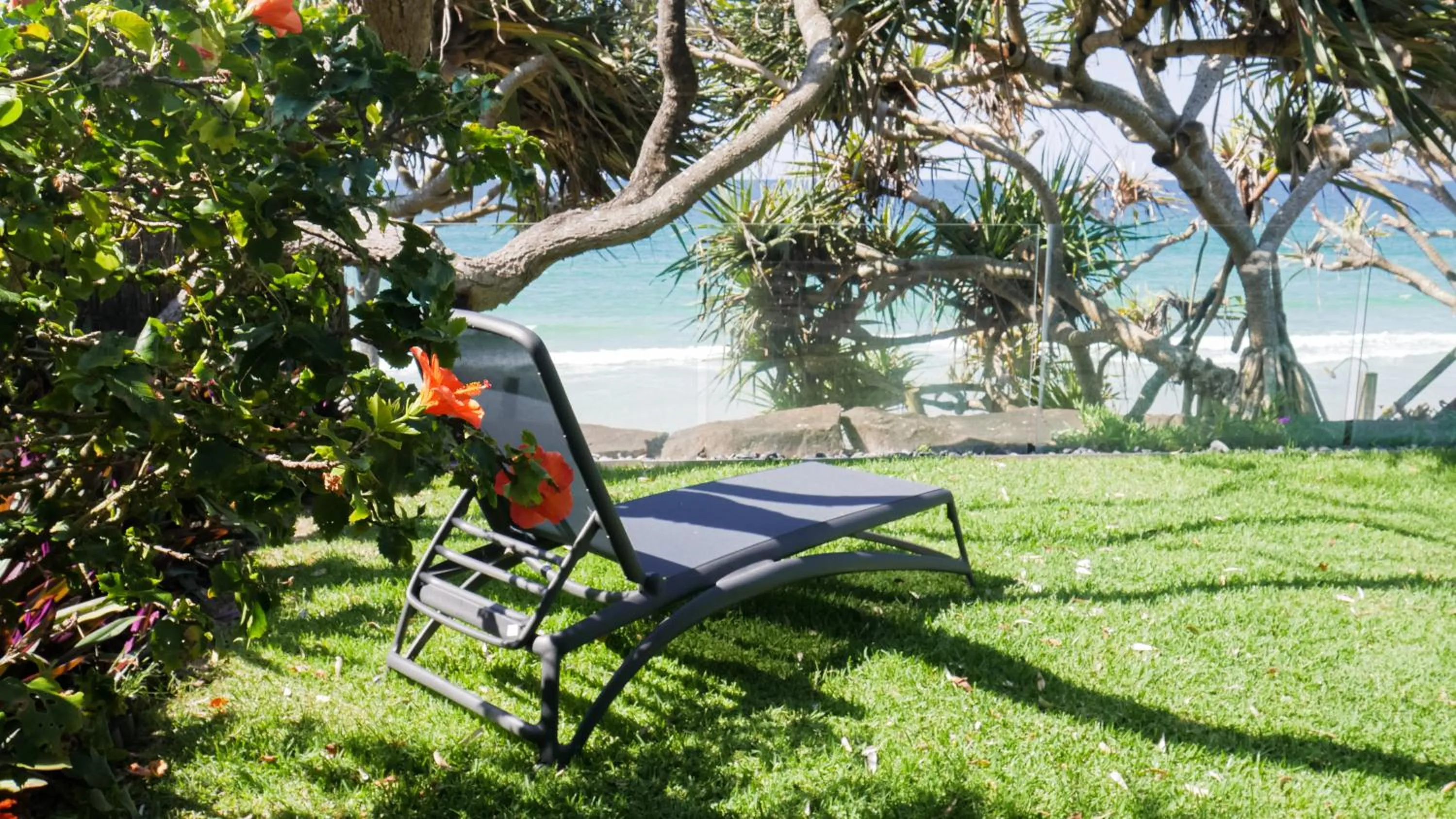 Beach in Shambhala @ Byron