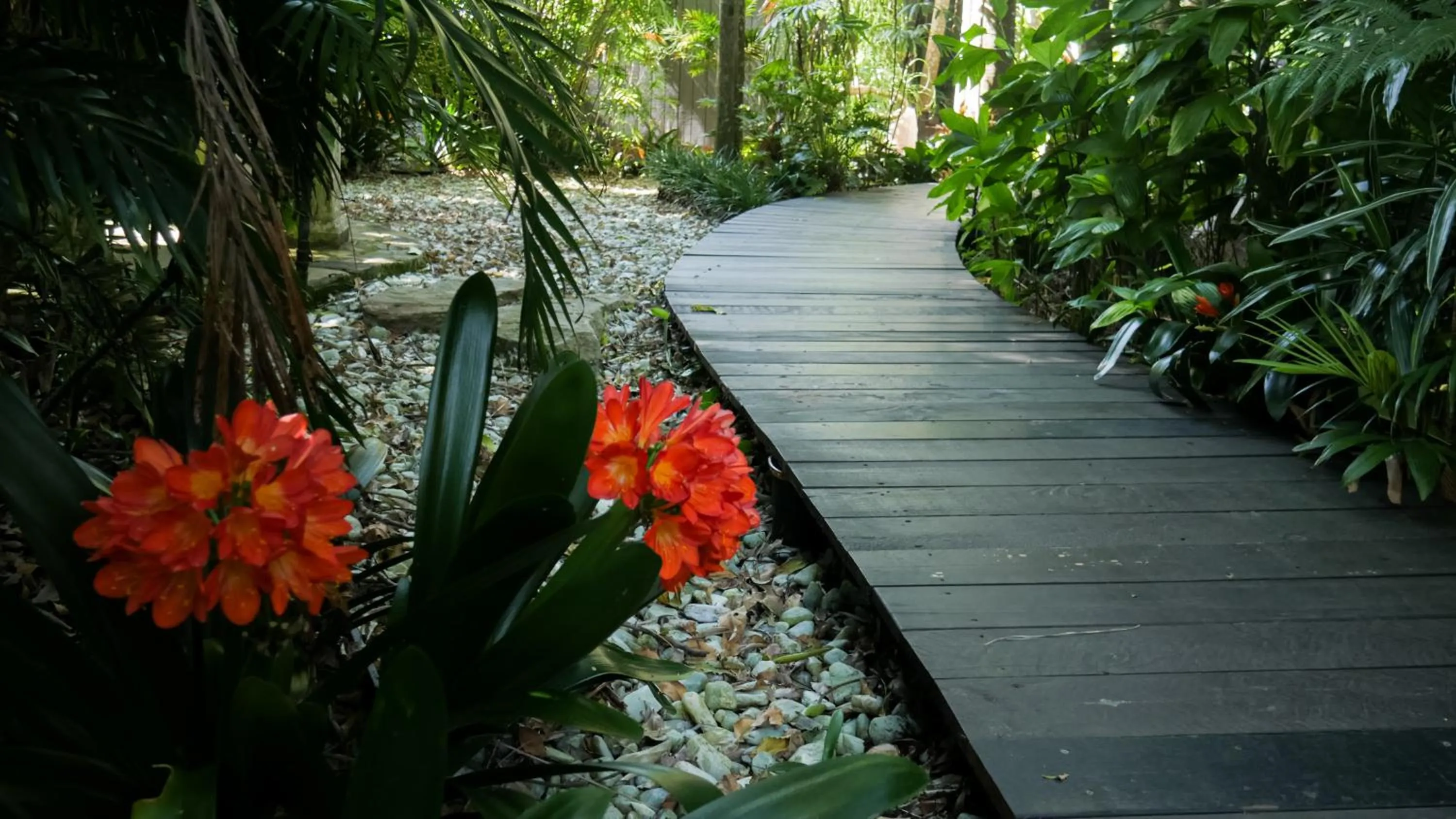 Day in Shambhala @ Byron