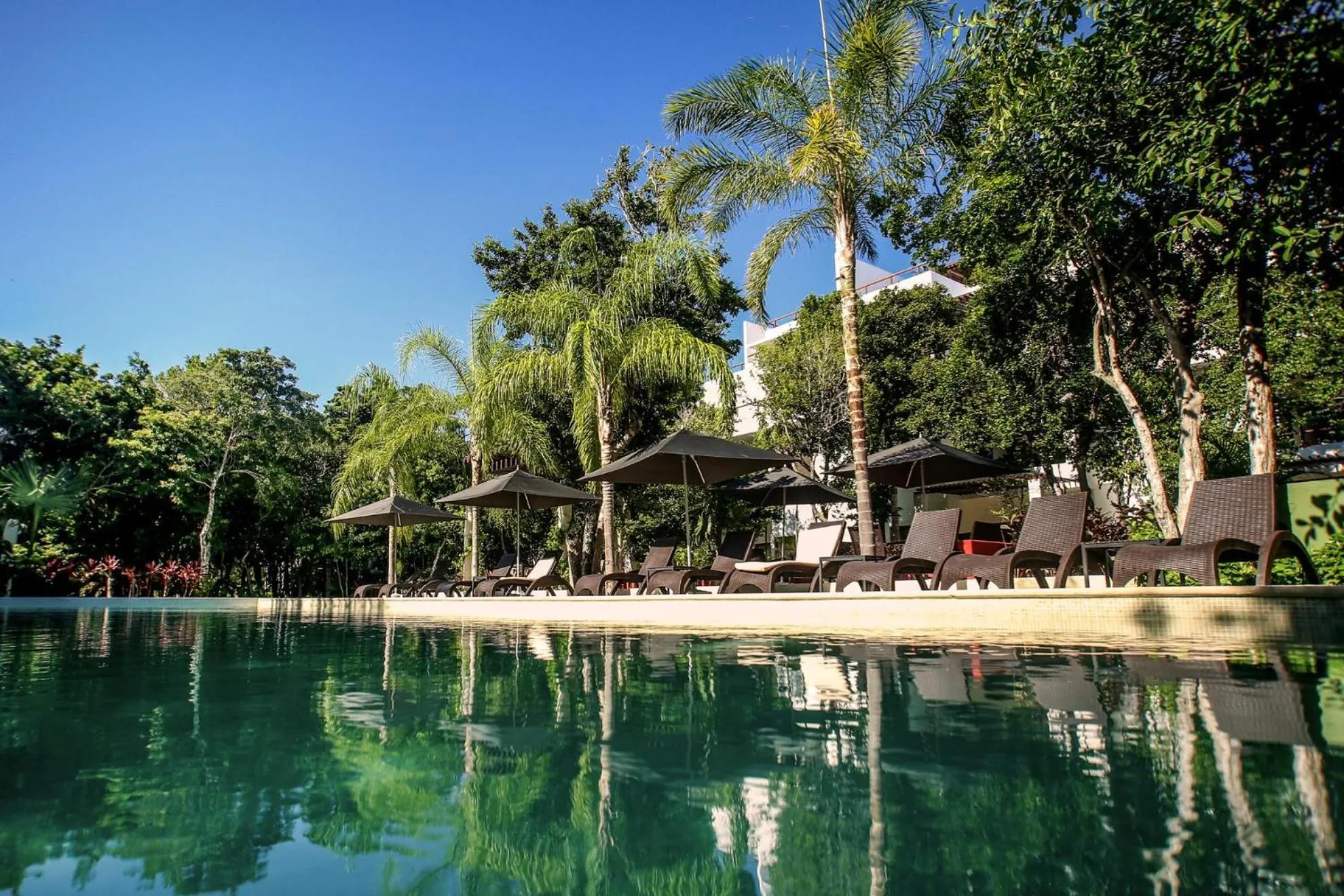 Swimming pool in Luxury 2 Bedroom Bahia Principe Condo