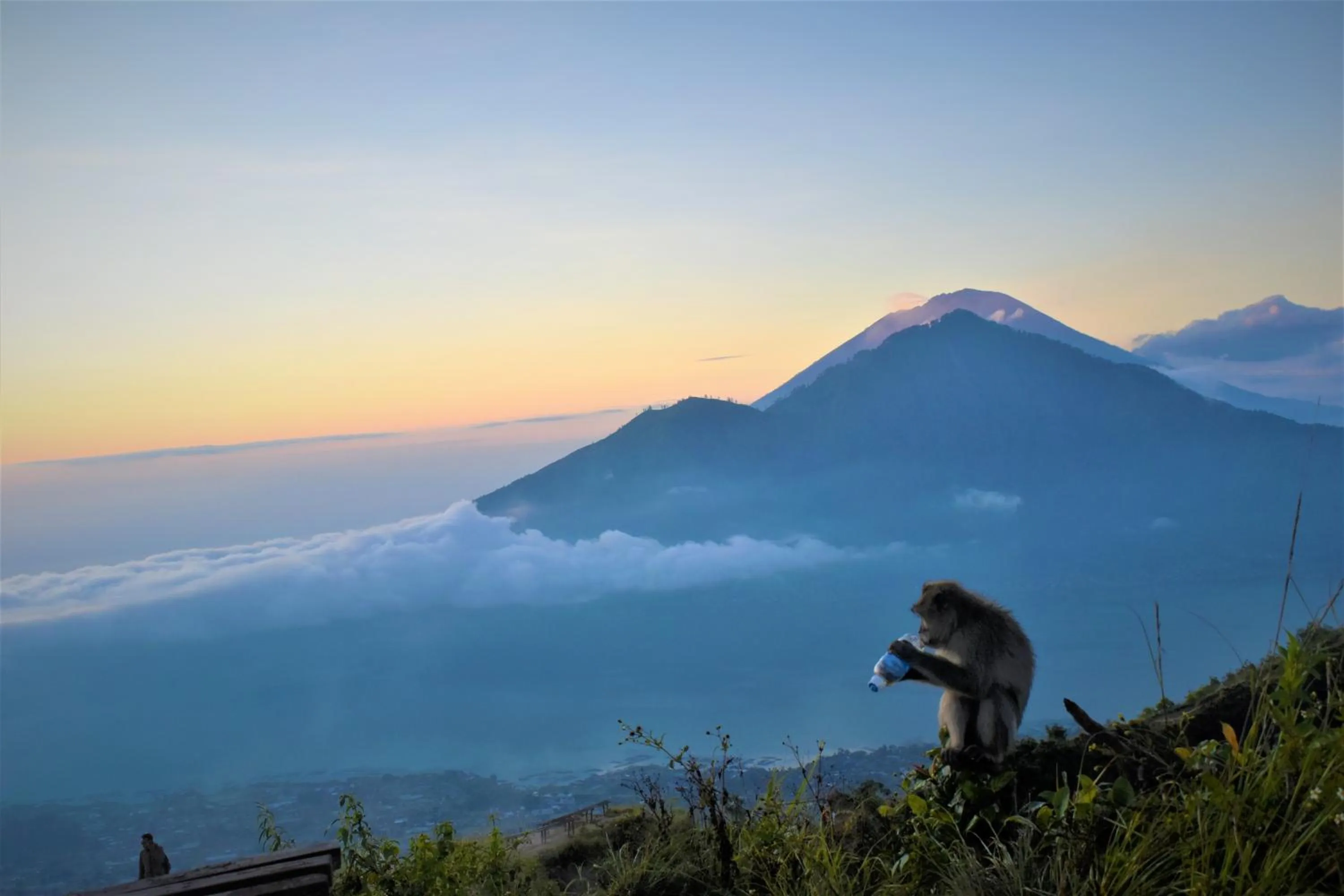 Natural landscape in Batur Bamboo Cabin by ecommerceloka