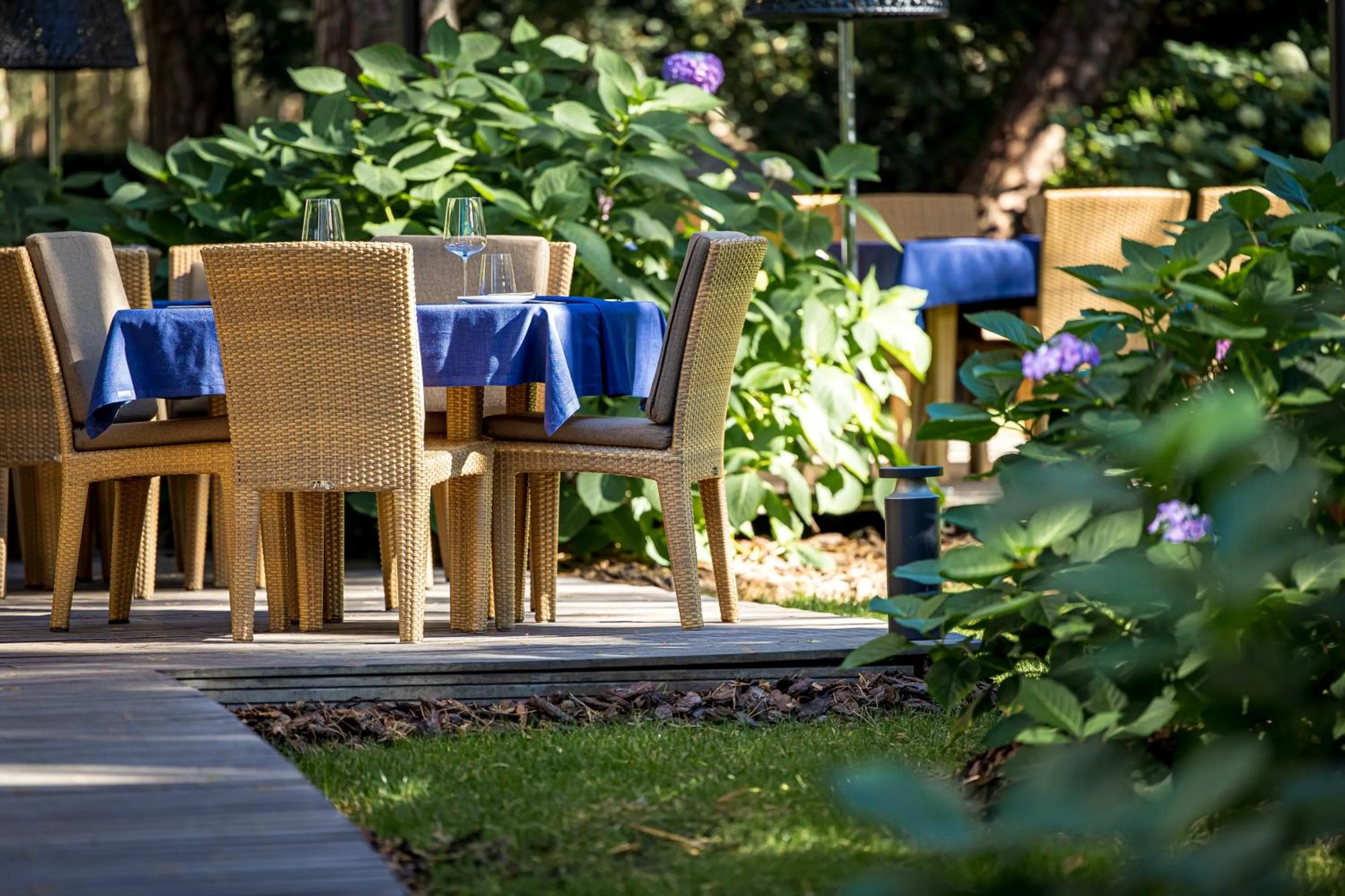 Restaurant/places to eat in Palanga Life Balance SPA Hotel