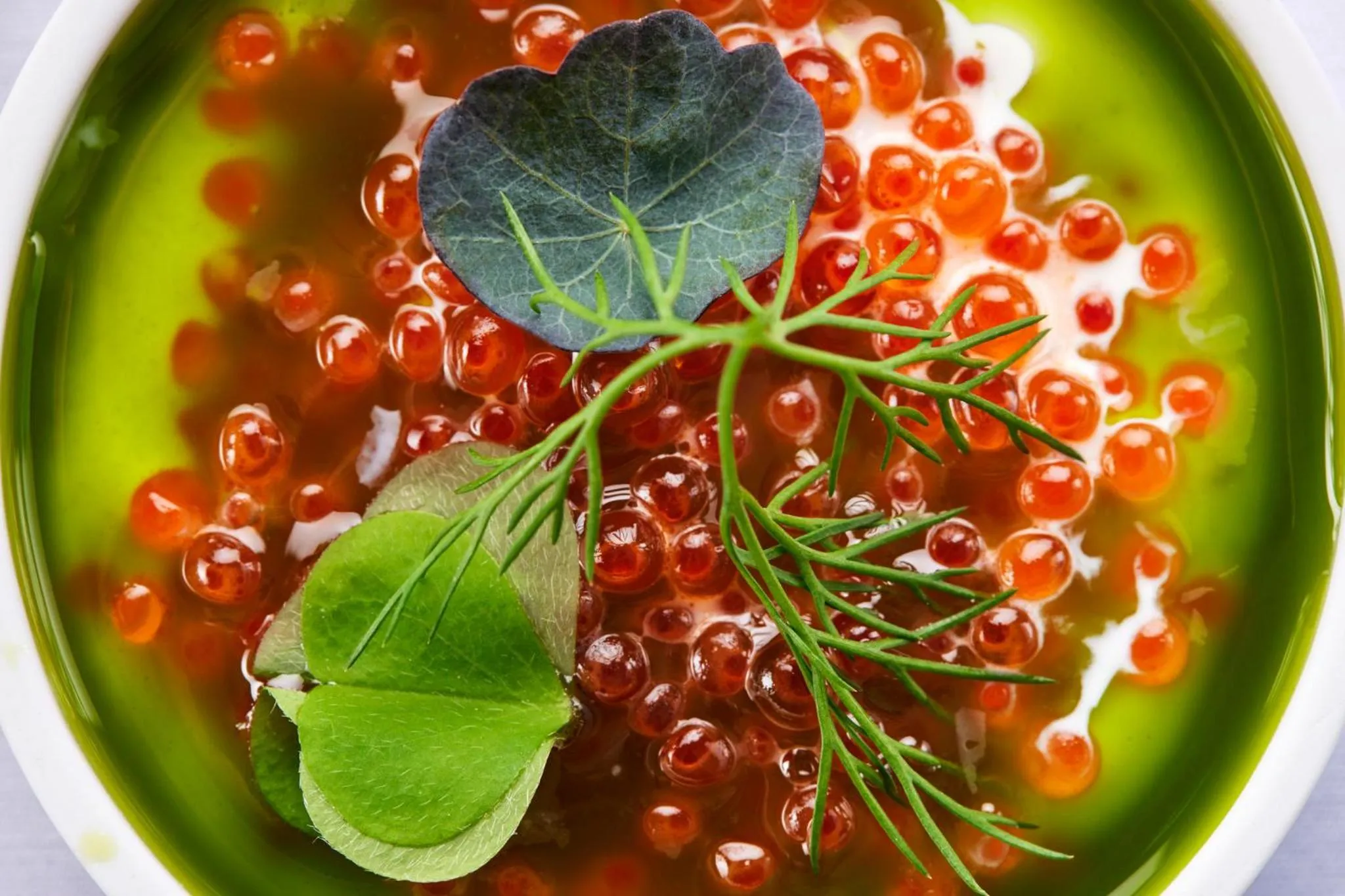 Restaurant/places to eat in Palanga Life Balance SPA Hotel