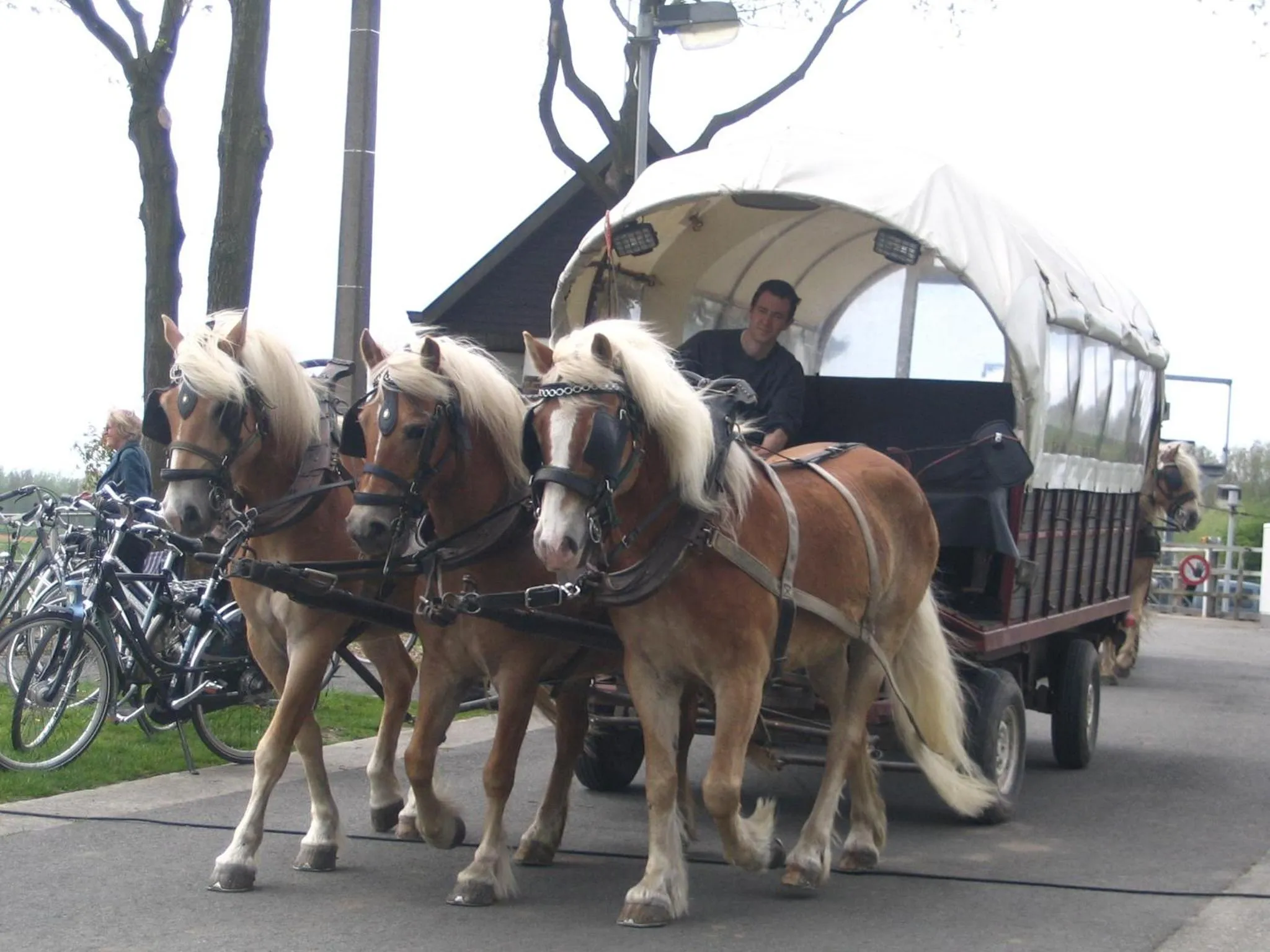 Area and facilities in B&B Sogni d'oro