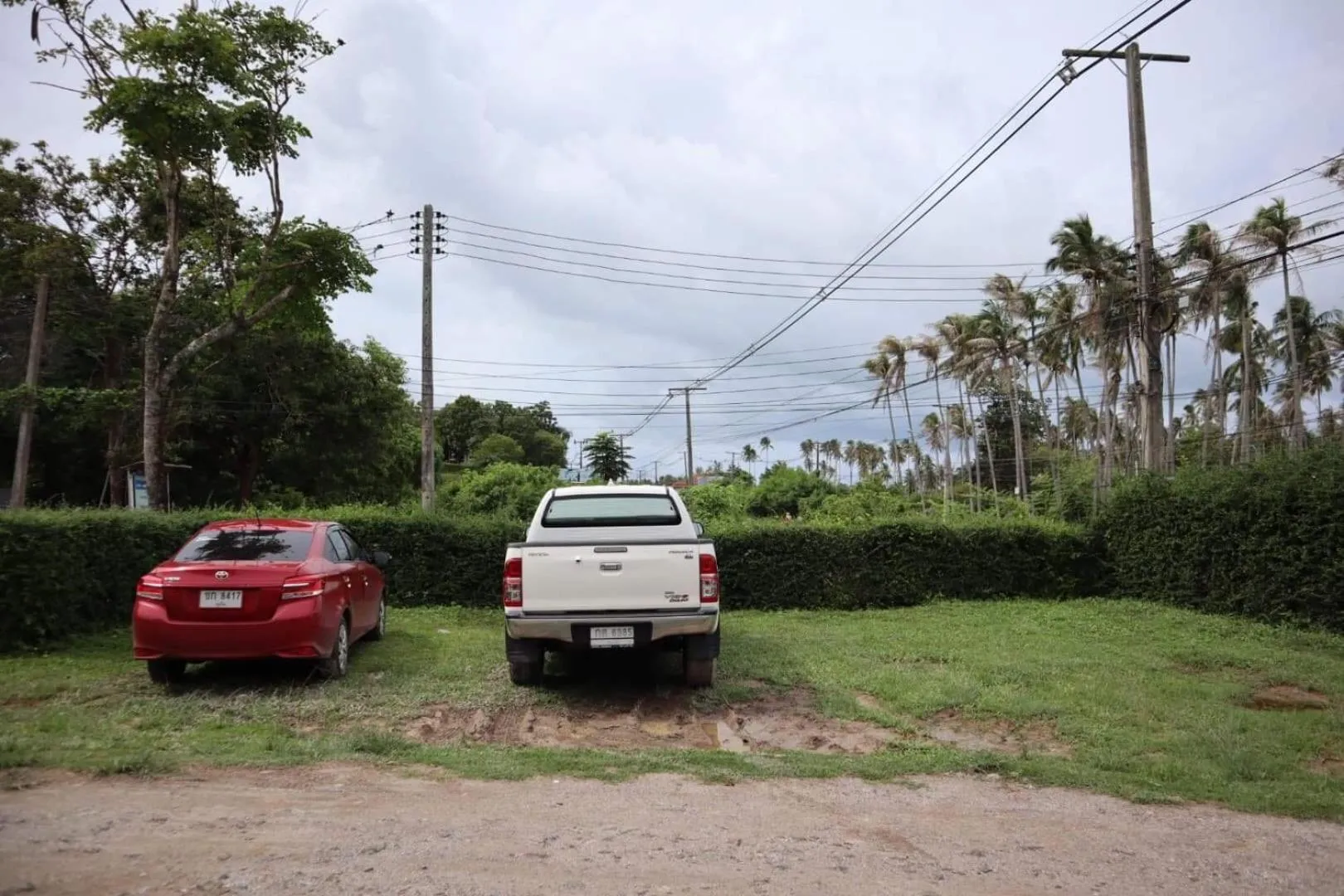Garden in Baan Check In