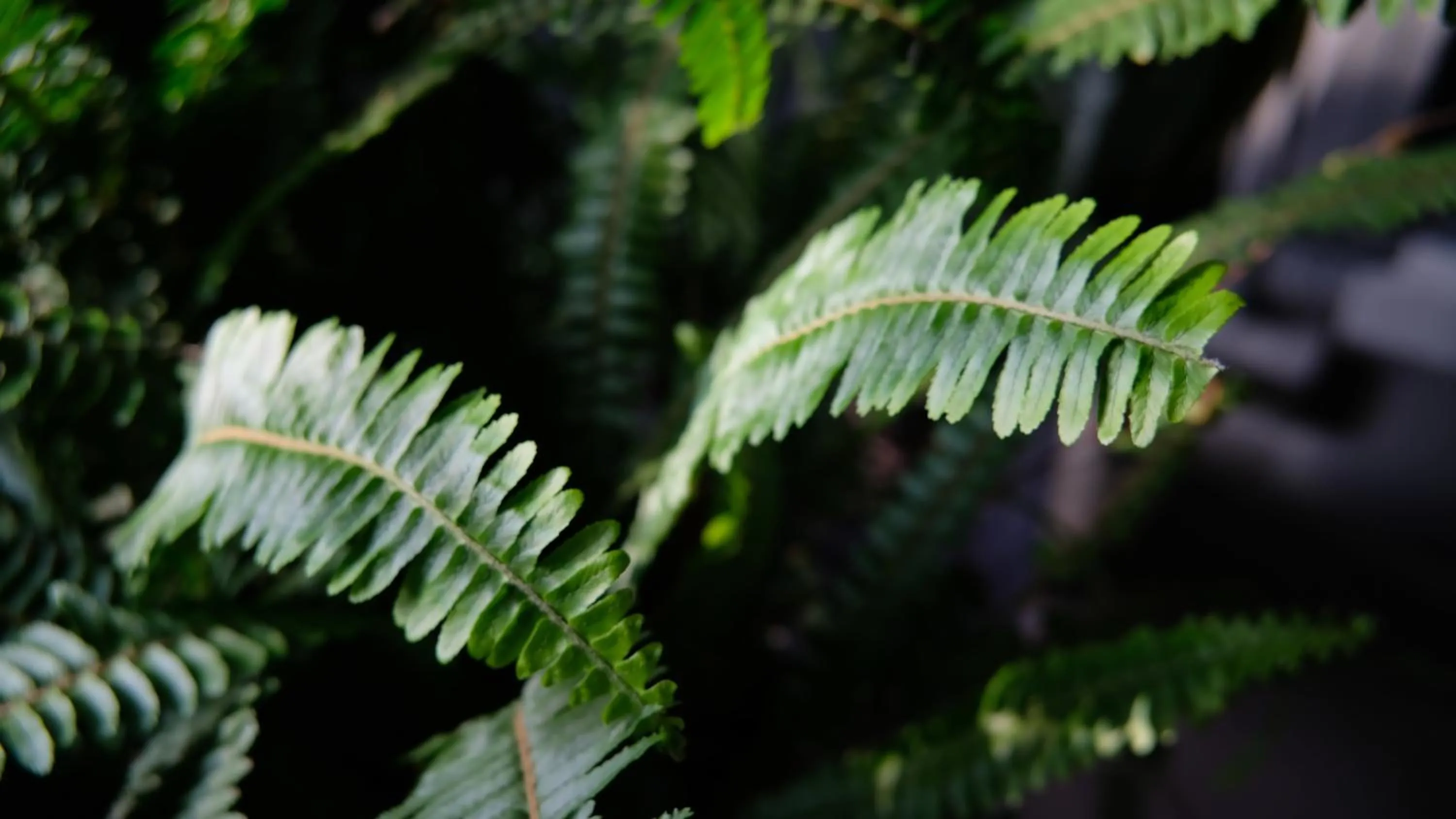 Lobby or reception in Marilyn Boutique Hotel Nha Trang