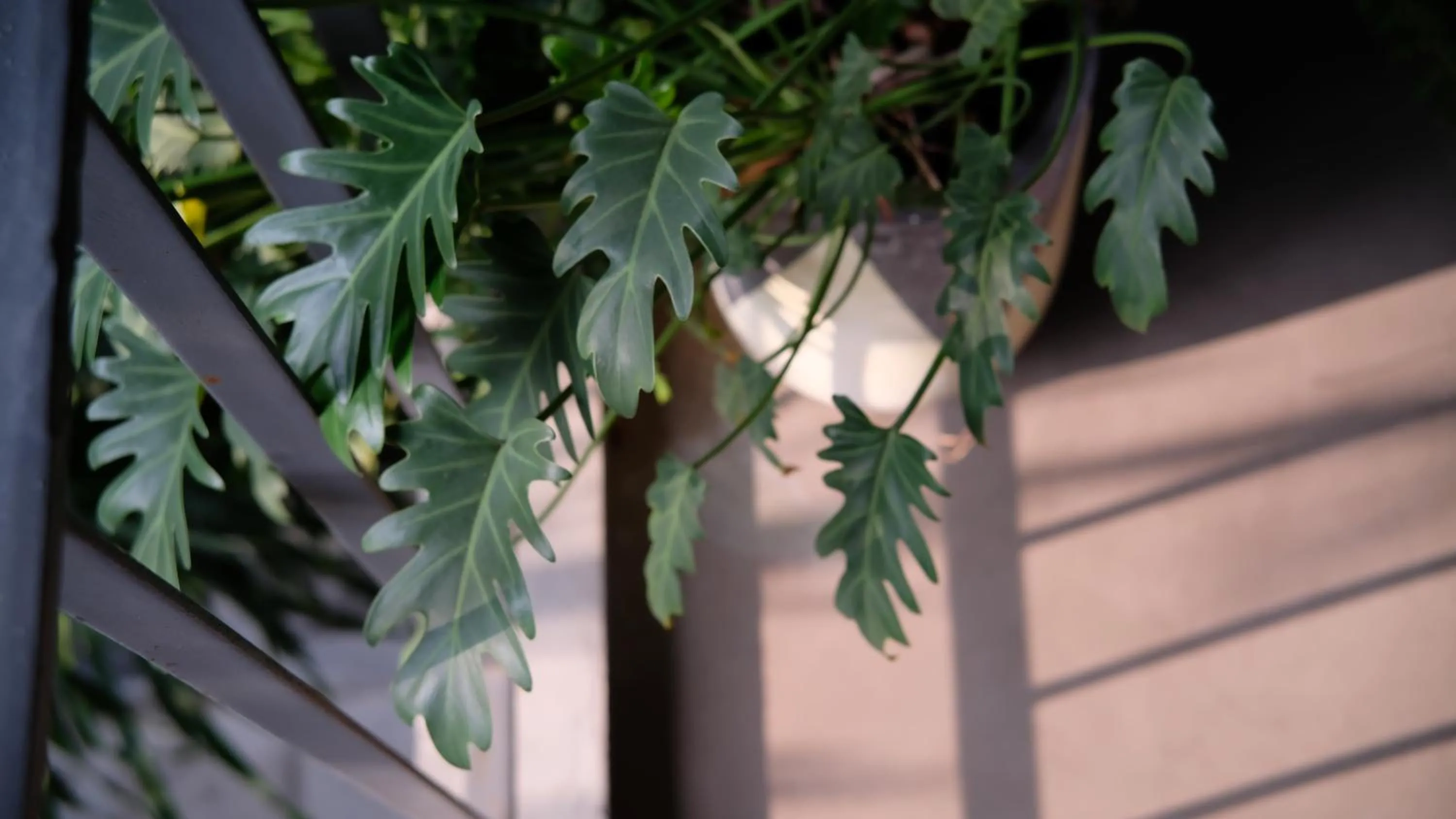 Lobby or reception in Marilyn Boutique Hotel Nha Trang