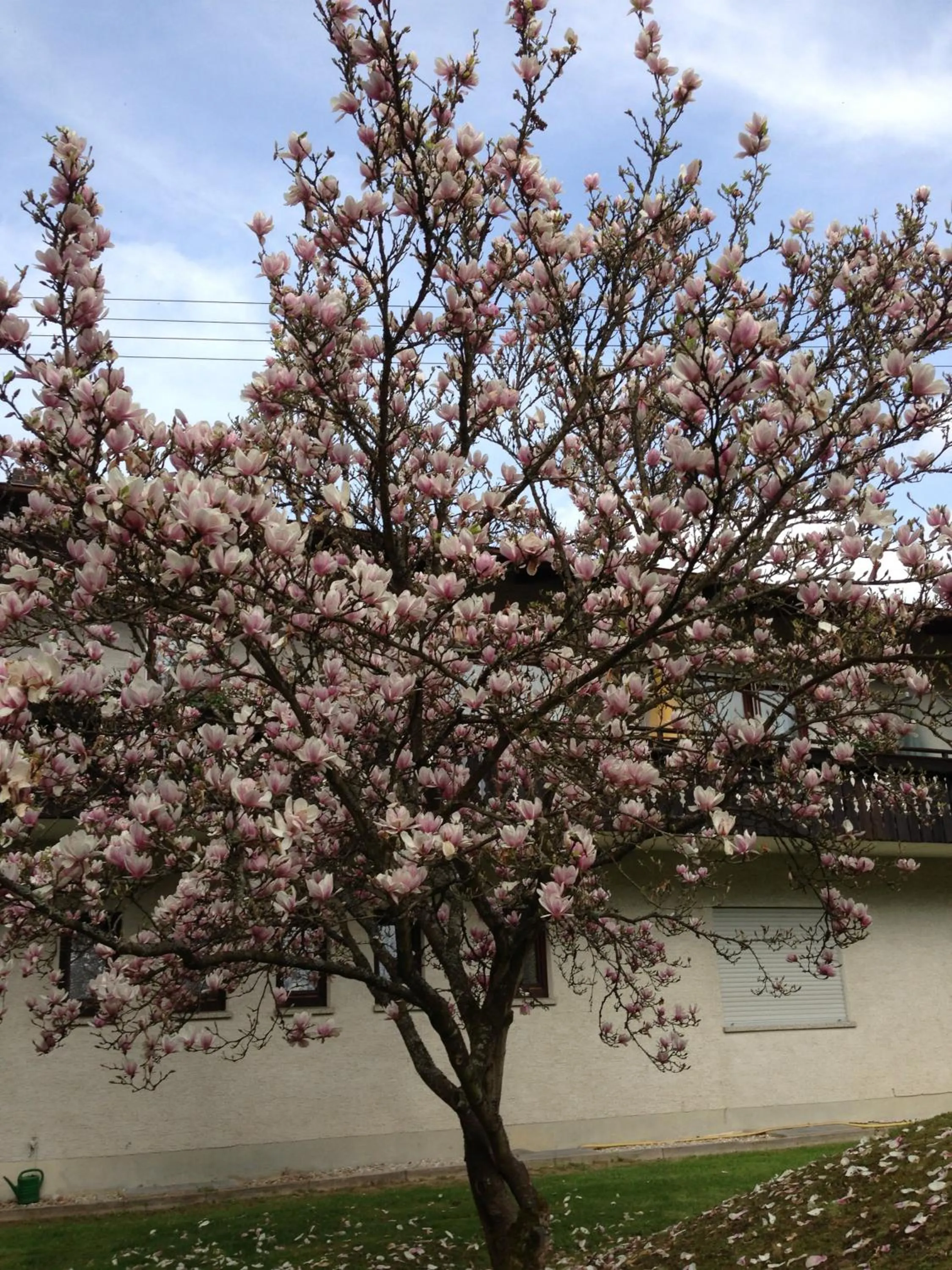 Gasthof & Landhotel Ohrnbachtal
