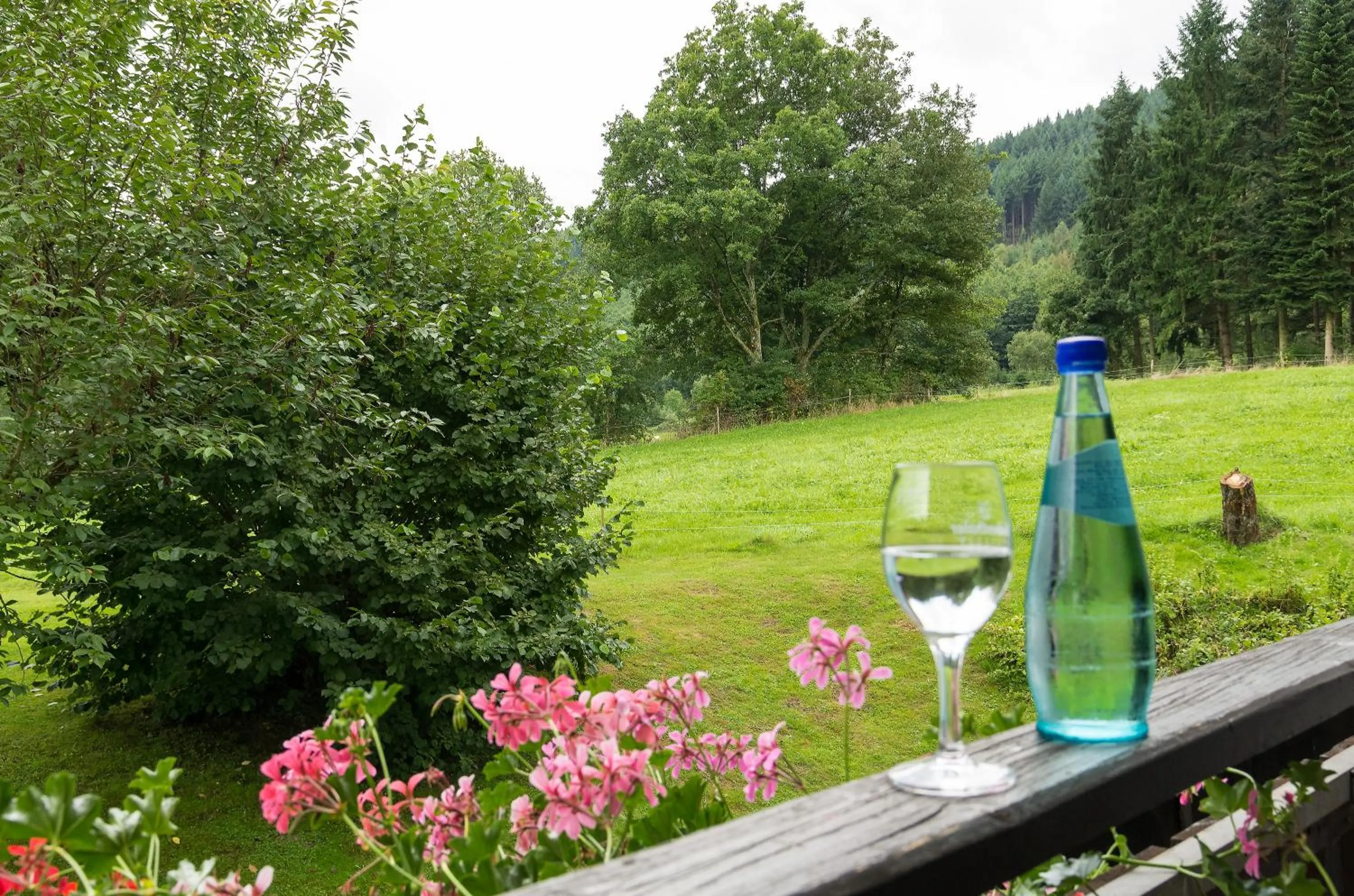 Garden in Gasthof & Landhotel Ohrnbachtal