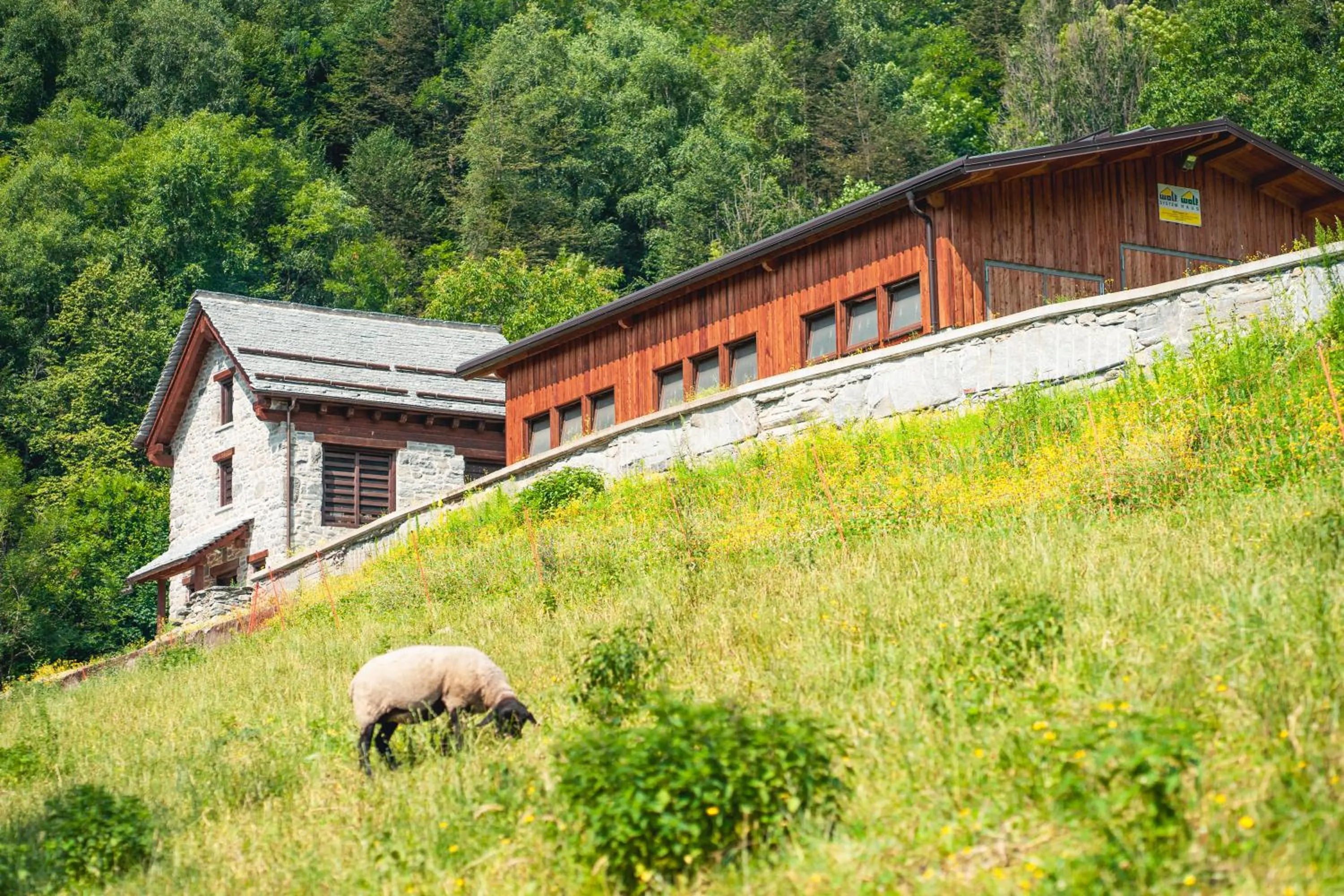 Animals in Hotel Belvedere Wellness&SPA