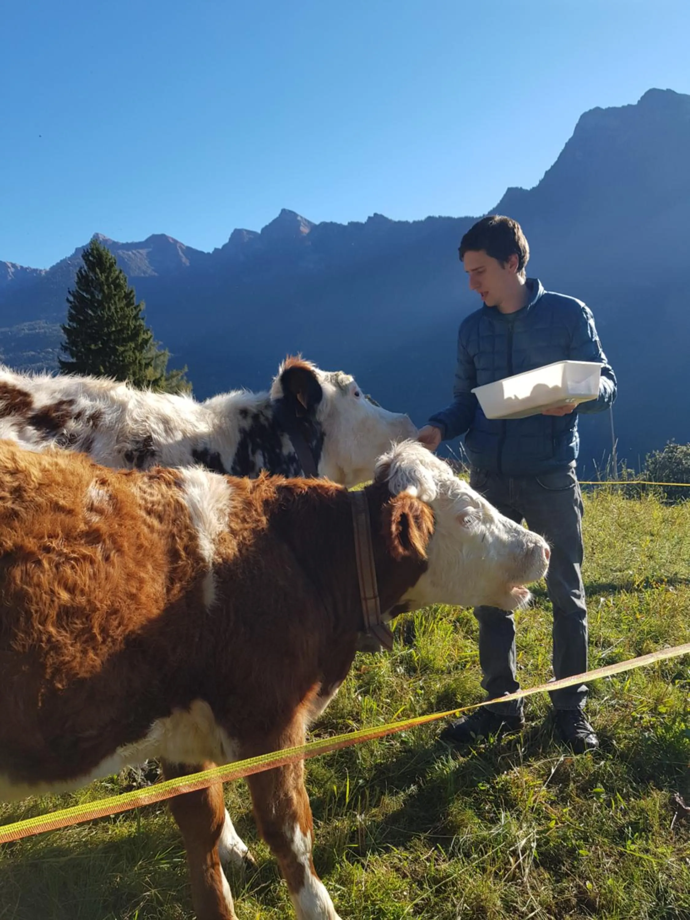 Animals in Hotel Belvedere Wellness&SPA