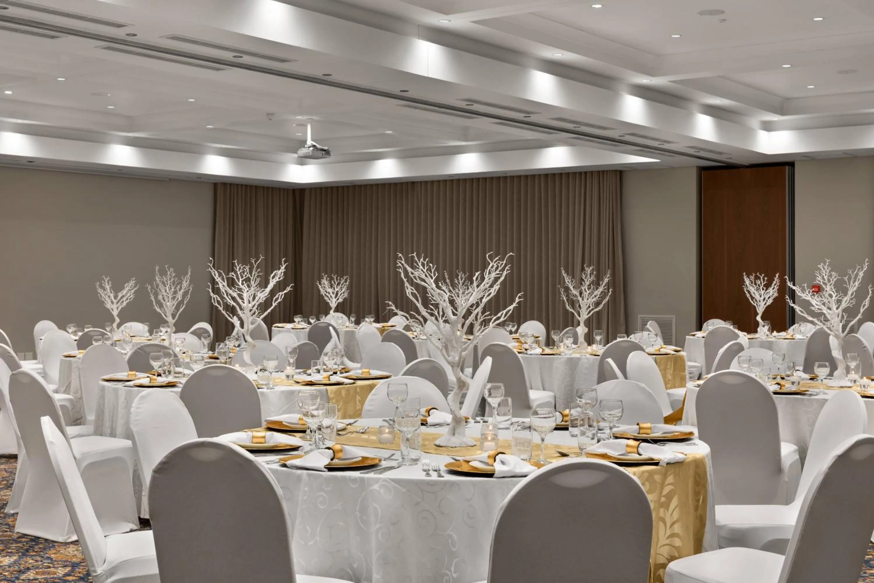 Meeting/conference room in Irene Country Hotel, Autograph Collection