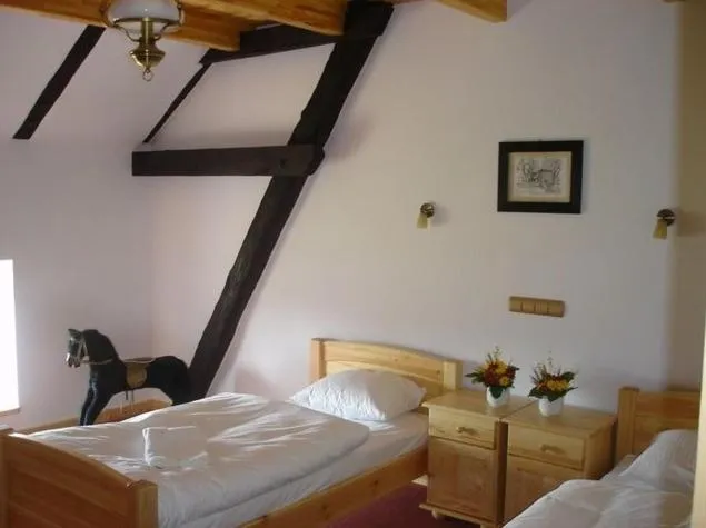 Photo of the whole room in Hotel Stara Stajnia