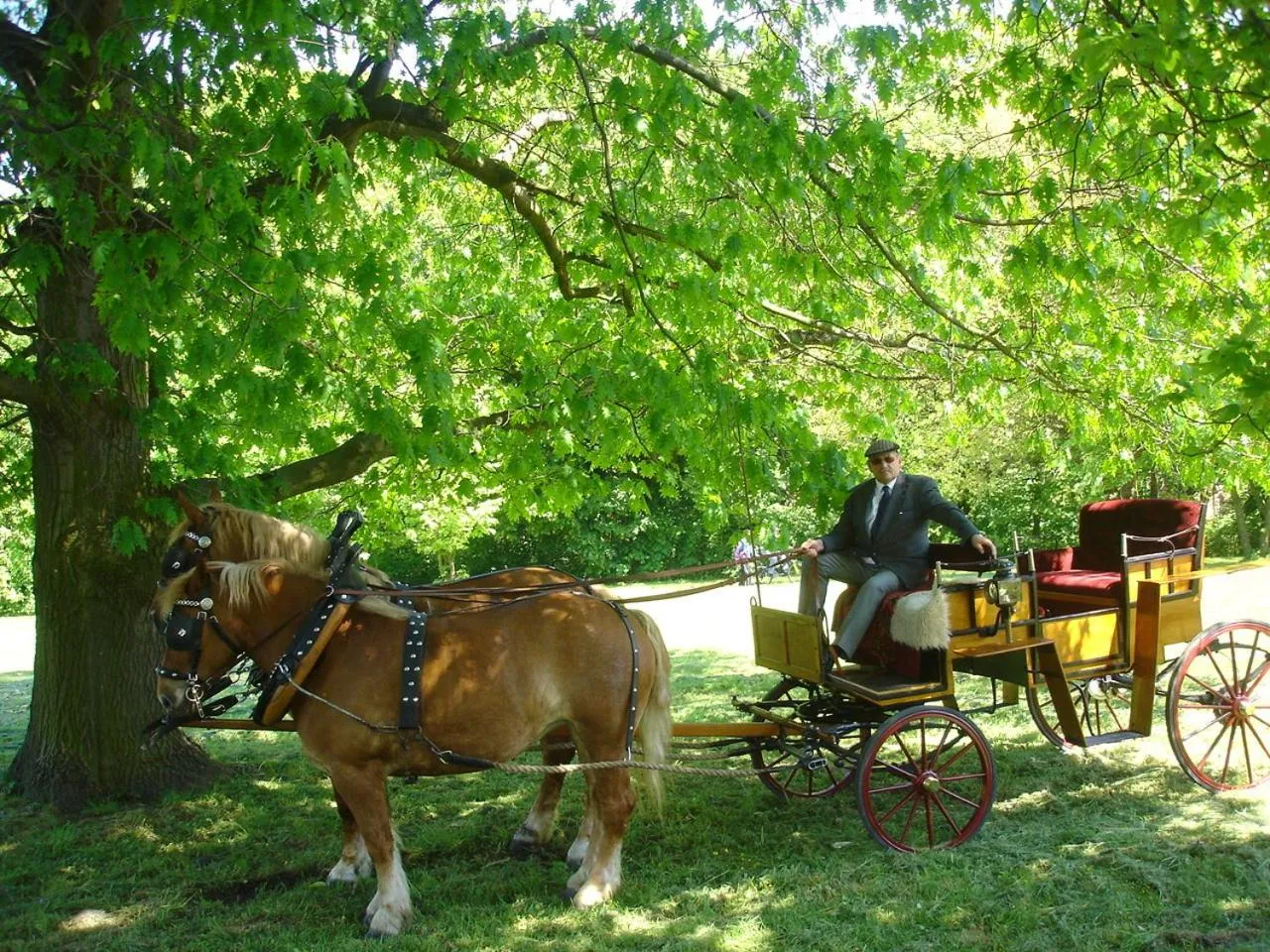 Horse-riding in Hotel Stara Stajnia