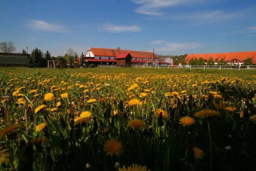 Garden in Hotel Stara Stajnia