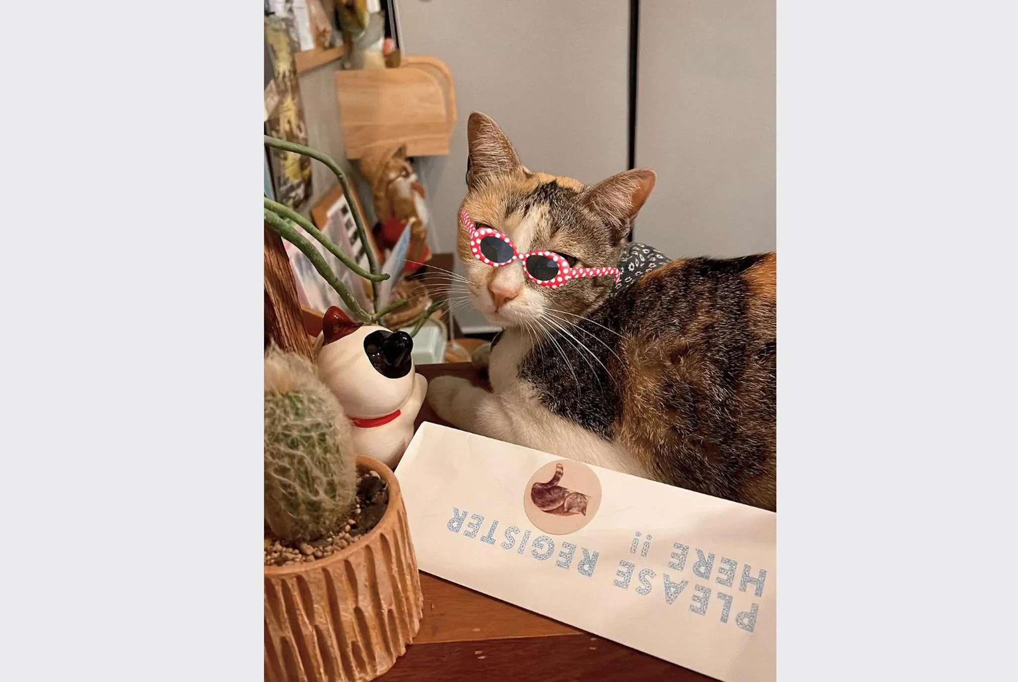 Staff in Sleepy House Chiang Rai