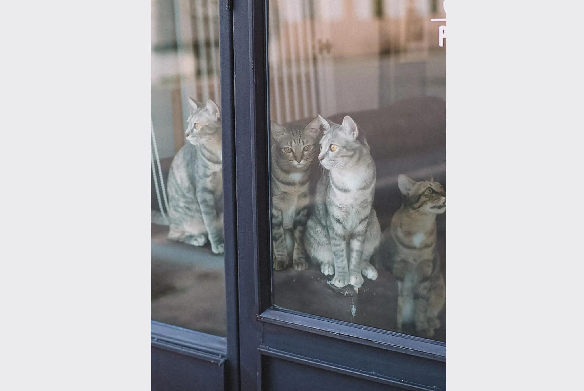 Staff in Sleepy House Chiang Rai