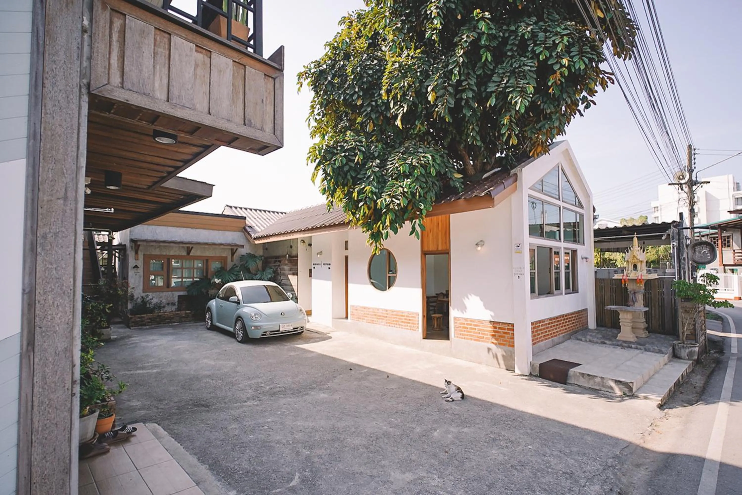 Property building in Sleepy House Chiang Rai