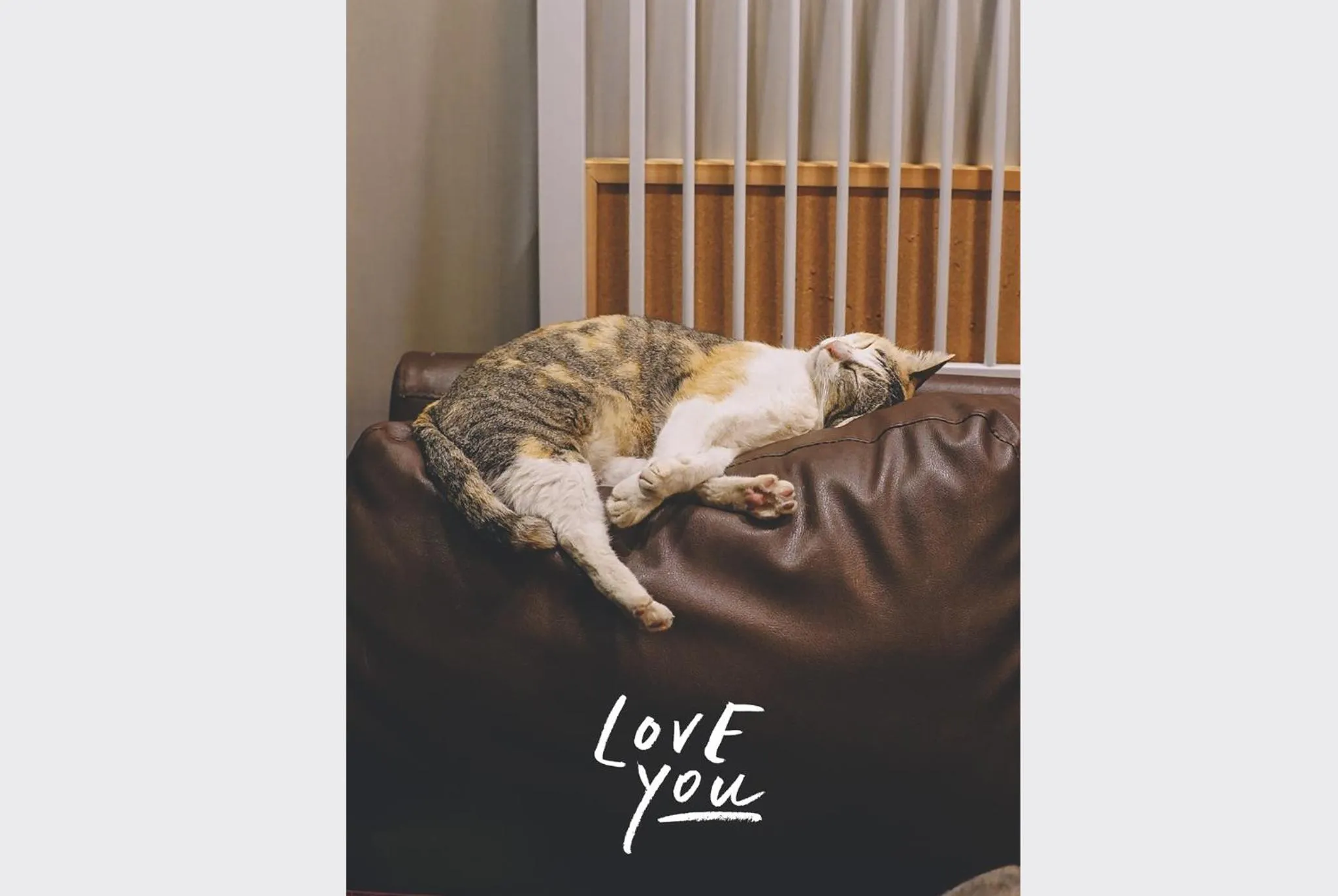 Staff in Sleepy House Chiang Rai