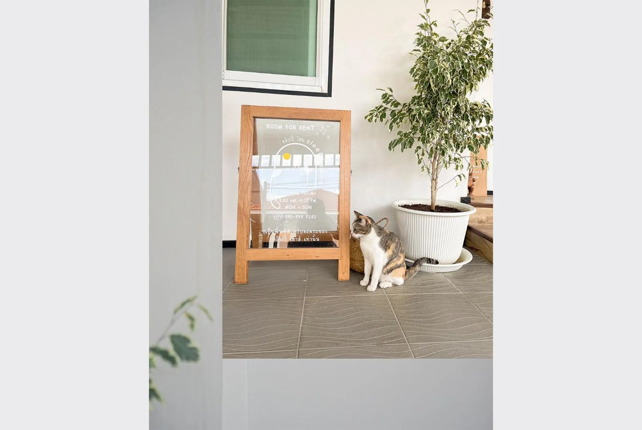 Staff in Sleepy House Chiang Rai