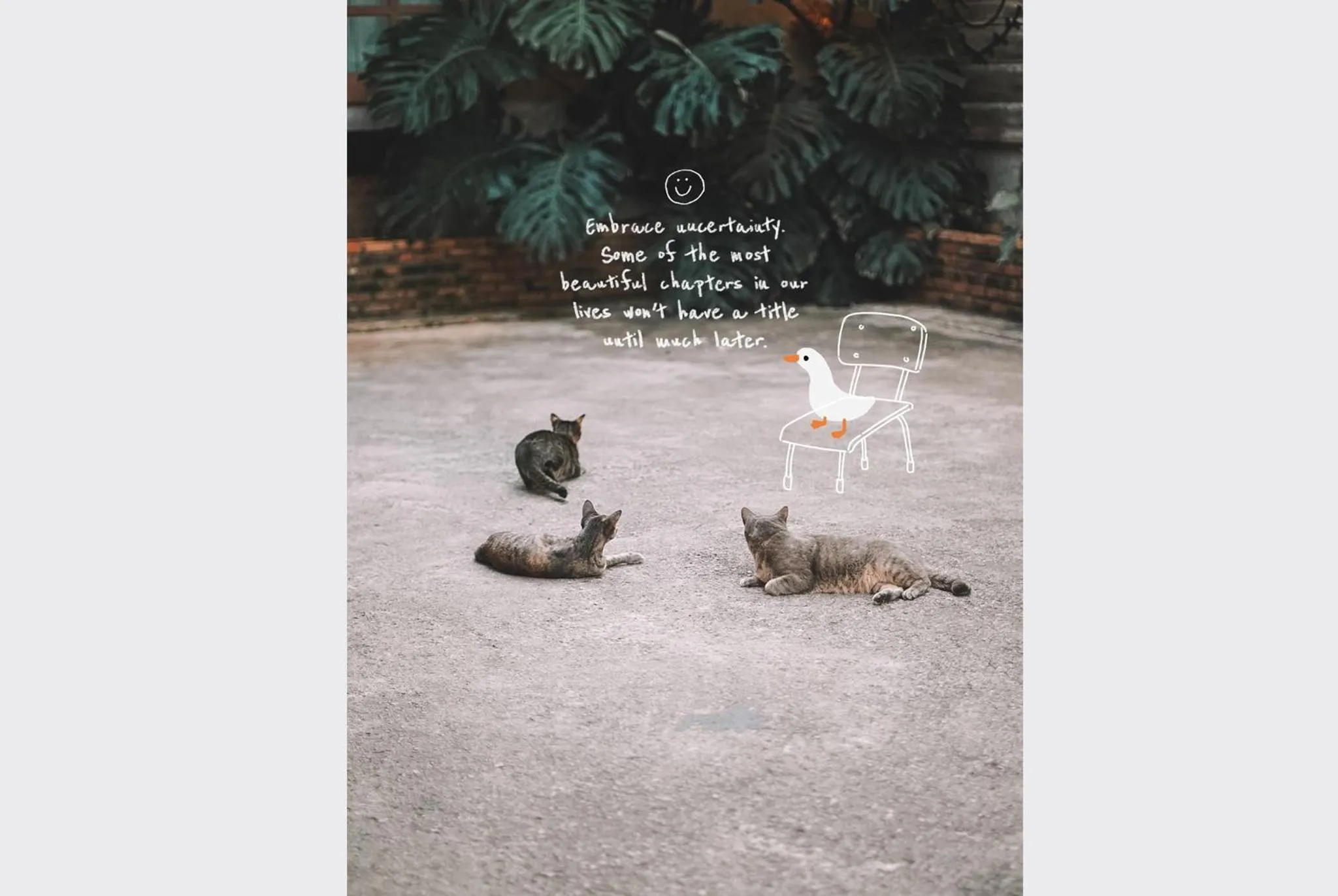 Staff in Sleepy House Chiang Rai