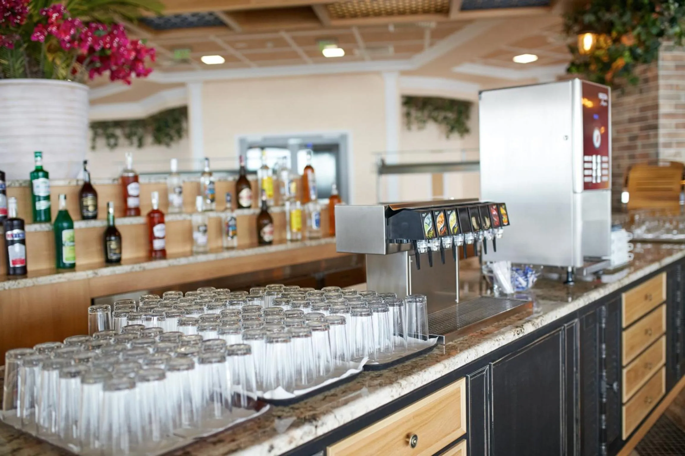 Food and drinks in Paradise Beach Residence - Ultra All Inclusive