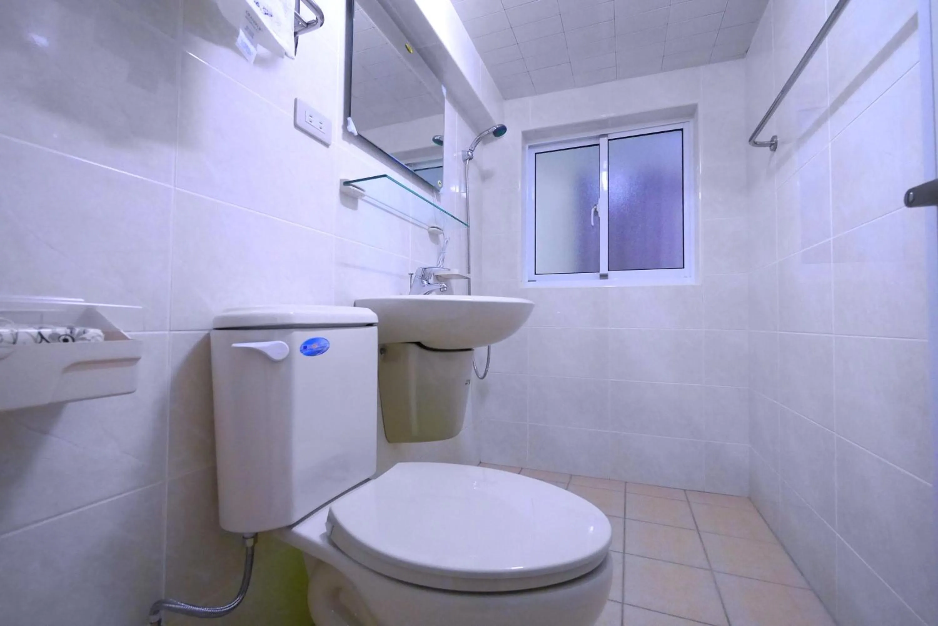 Toilet in Traveler Station