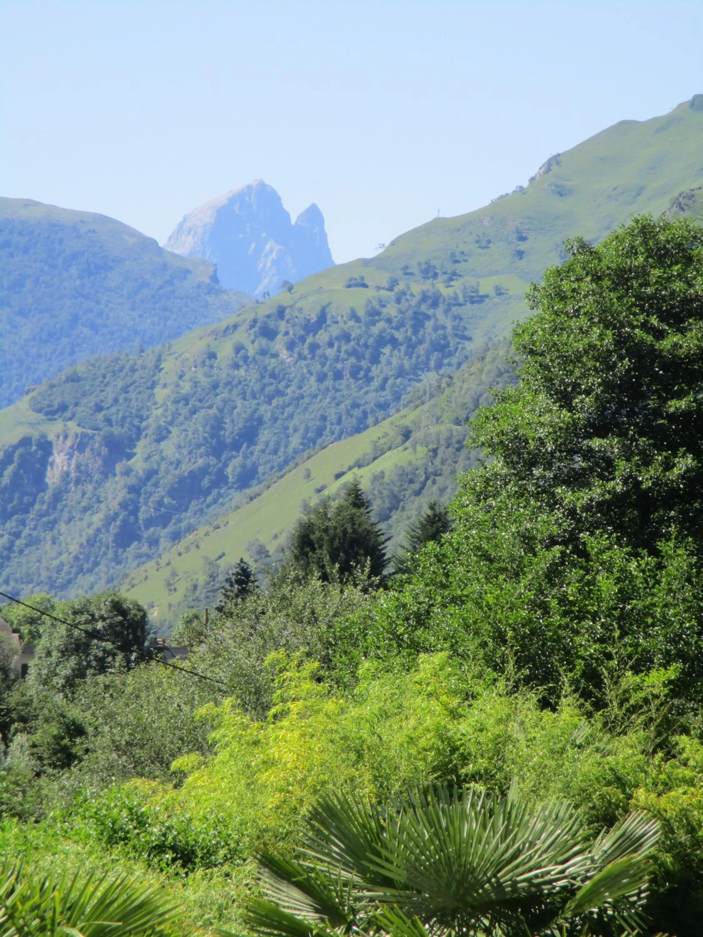 Natural landscape in Logis Hôtel L'Ayguelade