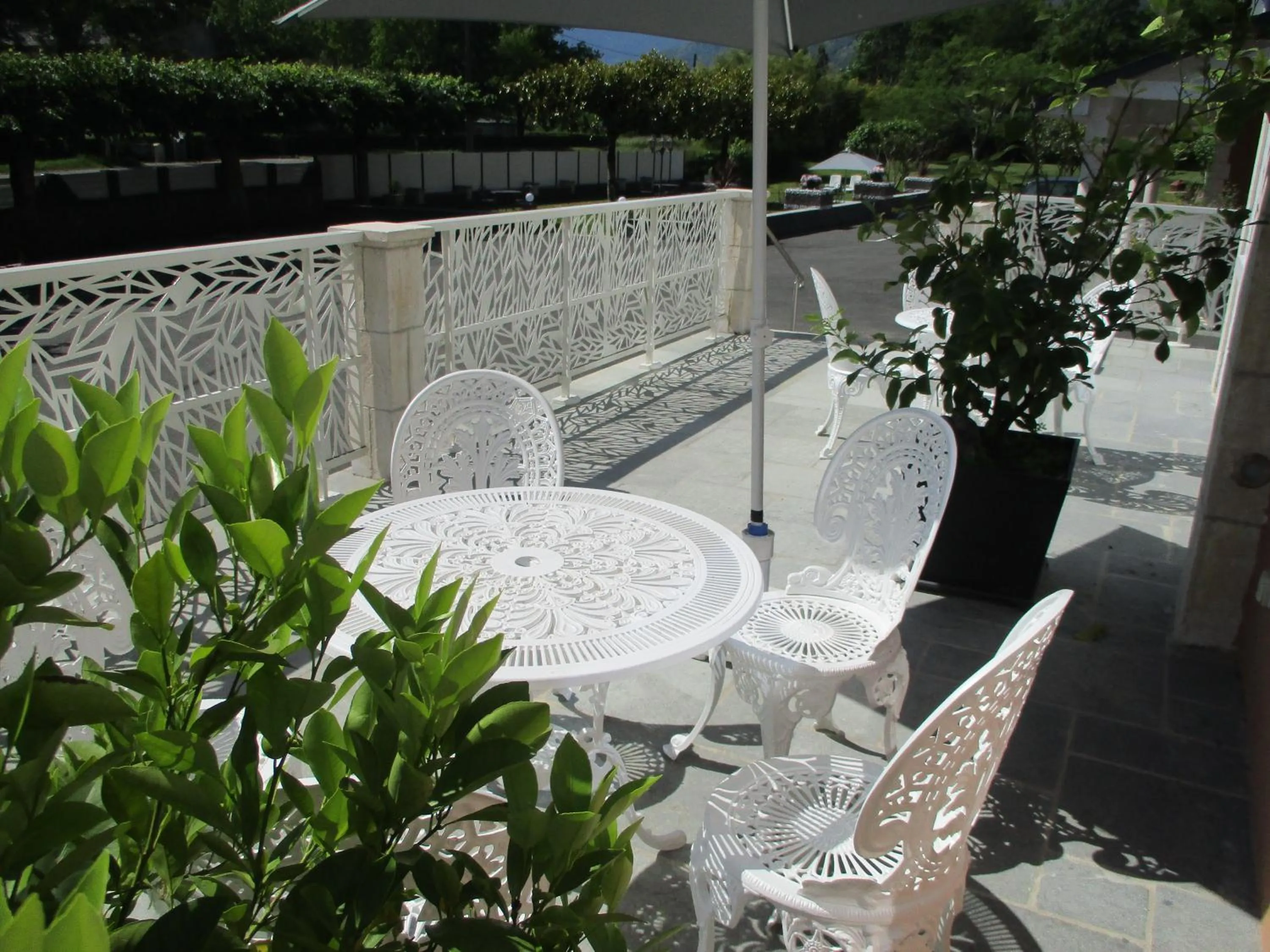Garden in Logis Hôtel L'Ayguelade