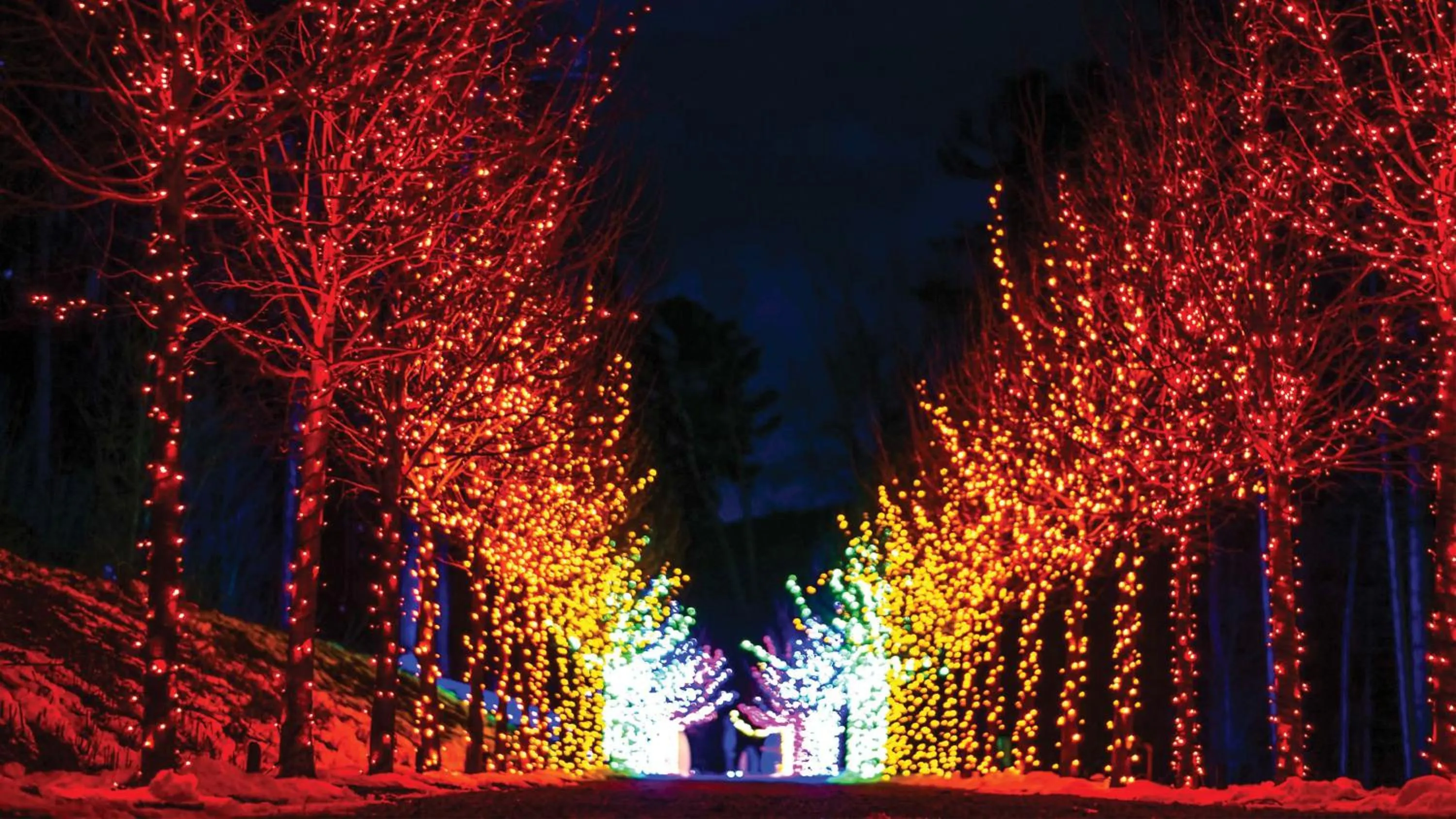 Nearby landmark in Holiday Inn Express & Suites Pittsfield-Lenox-Berkshires by IHG