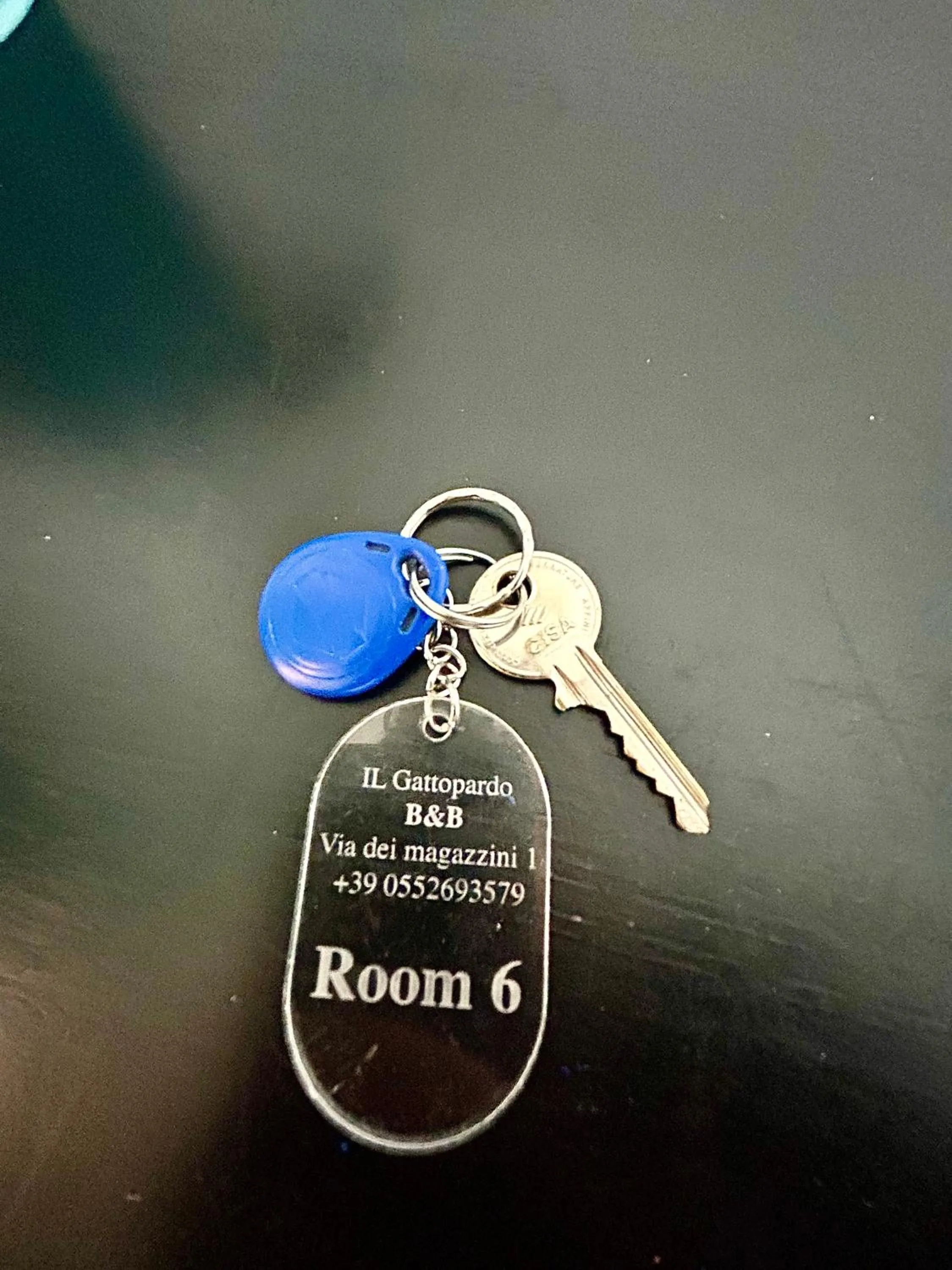 Logo/Certificate/Sign in Gattopardo Rooms Florence